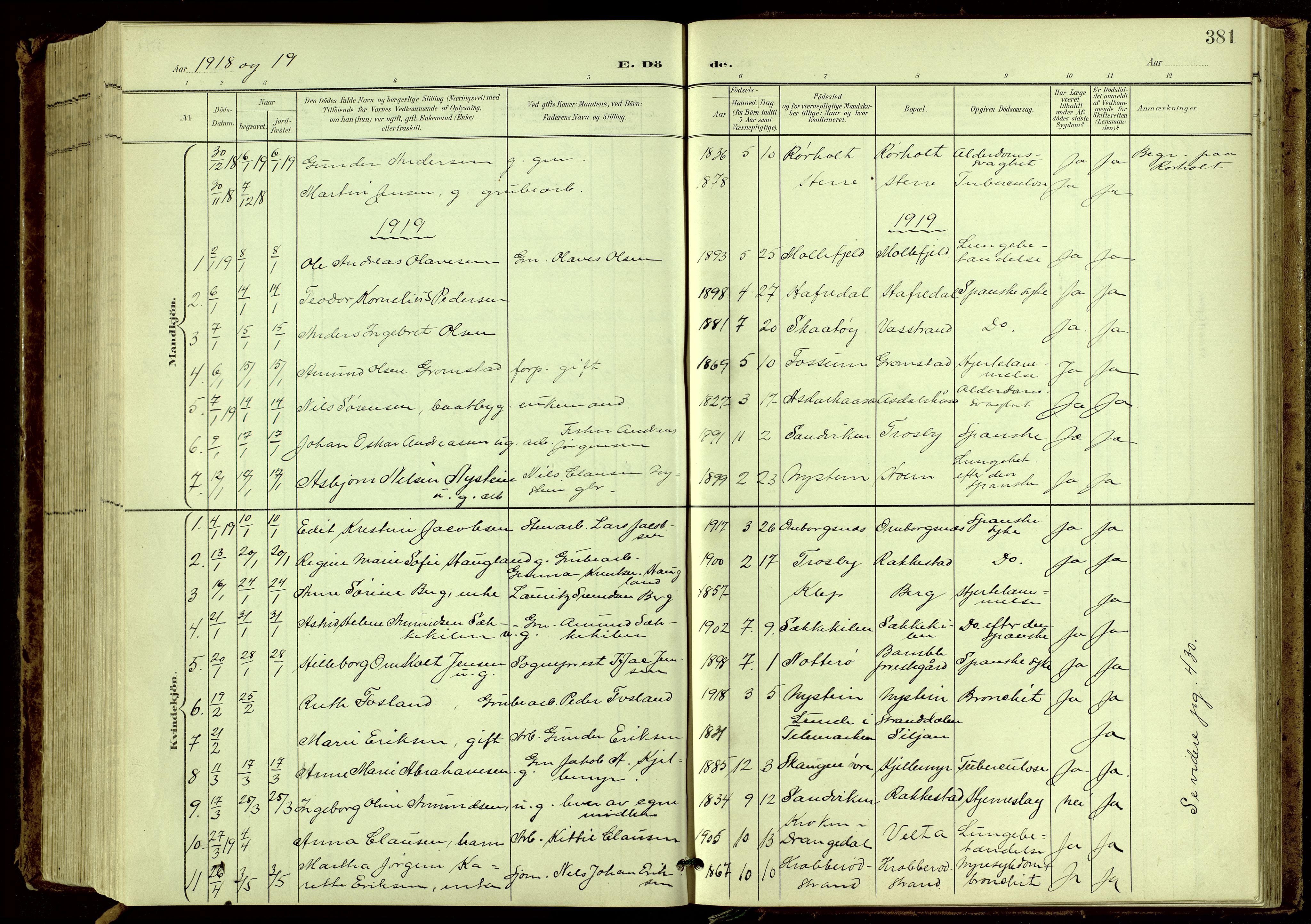 Bamble kirkebøker, AV/SAKO-A-253/G/Ga/L0010: Parish register (copy) no. I 10, 1901-1919, p. 381