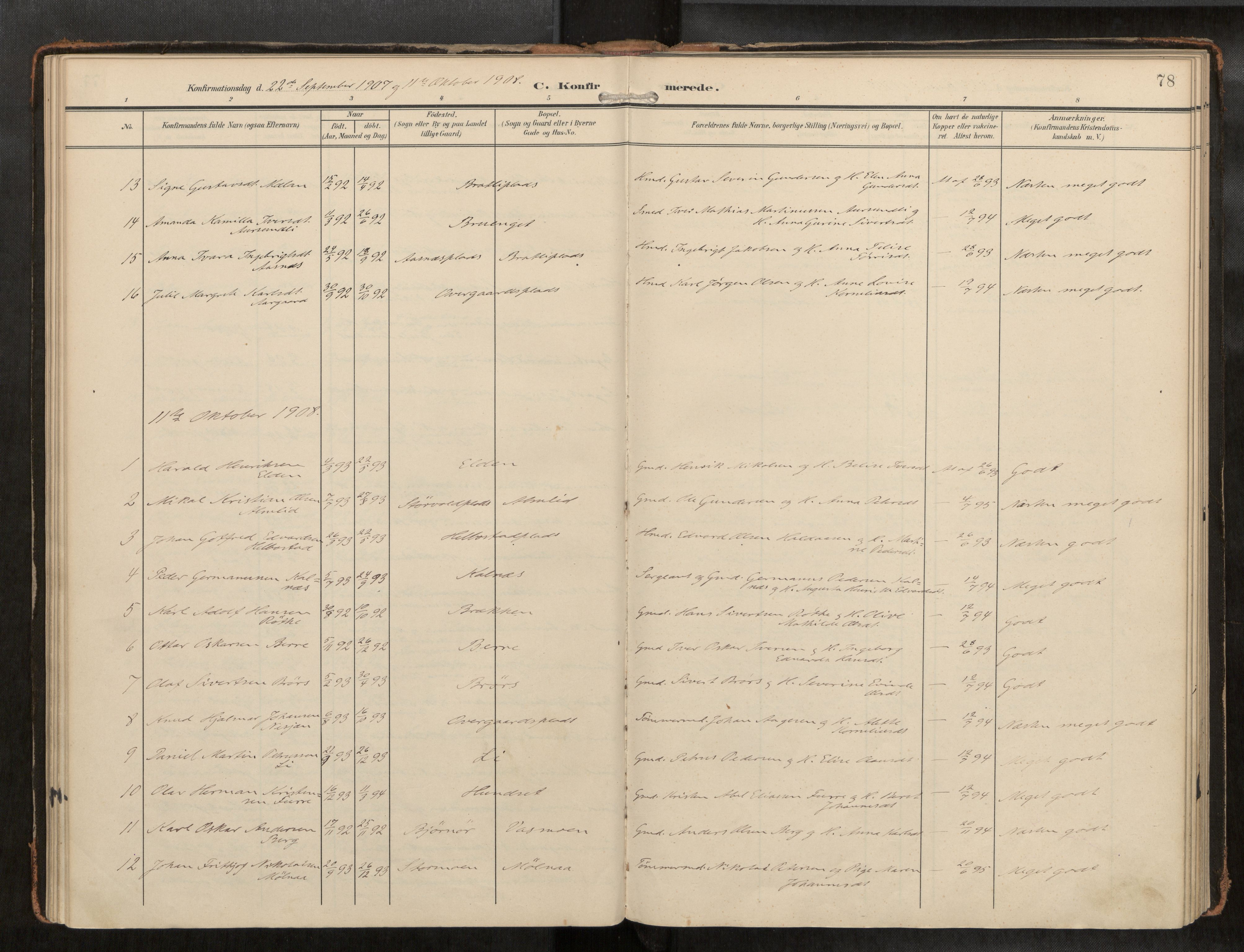 Ministerialprotokoller, klokkerbøker og fødselsregistre - Nord-Trøndelag, AV/SAT-A-1458/742/L0409a: Parish register (official) no. 742A03, 1906-1924, p. 78