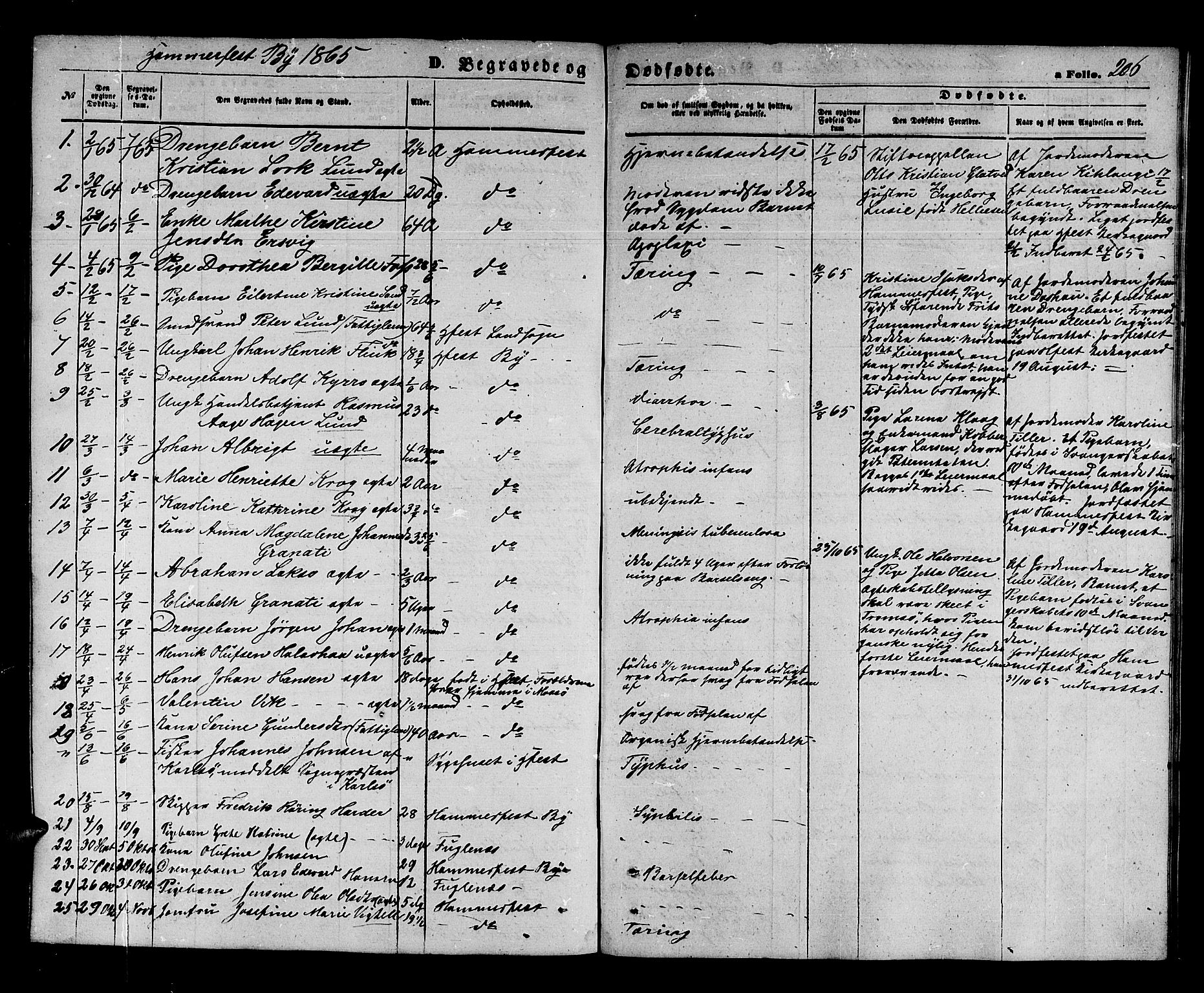 Hammerfest sokneprestkontor, AV/SATØ-S-1347/H/Hb/L0003.klokk: Parish register (copy) no. 3 /1, 1862-1868, p. 206