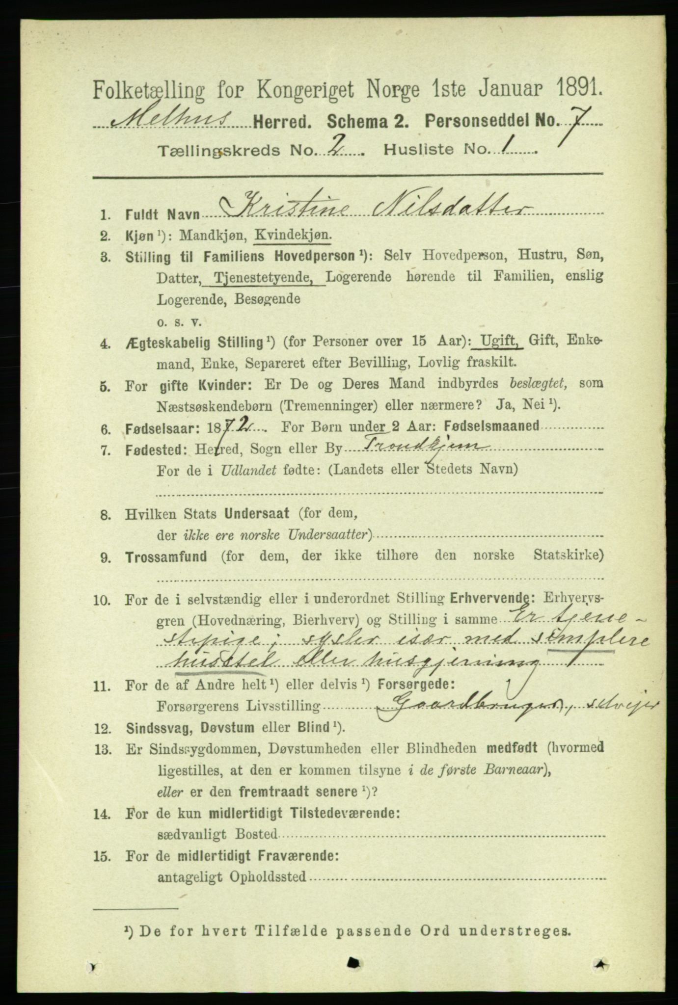 RA, 1891 census for 1653 Melhus, 1891, p. 746