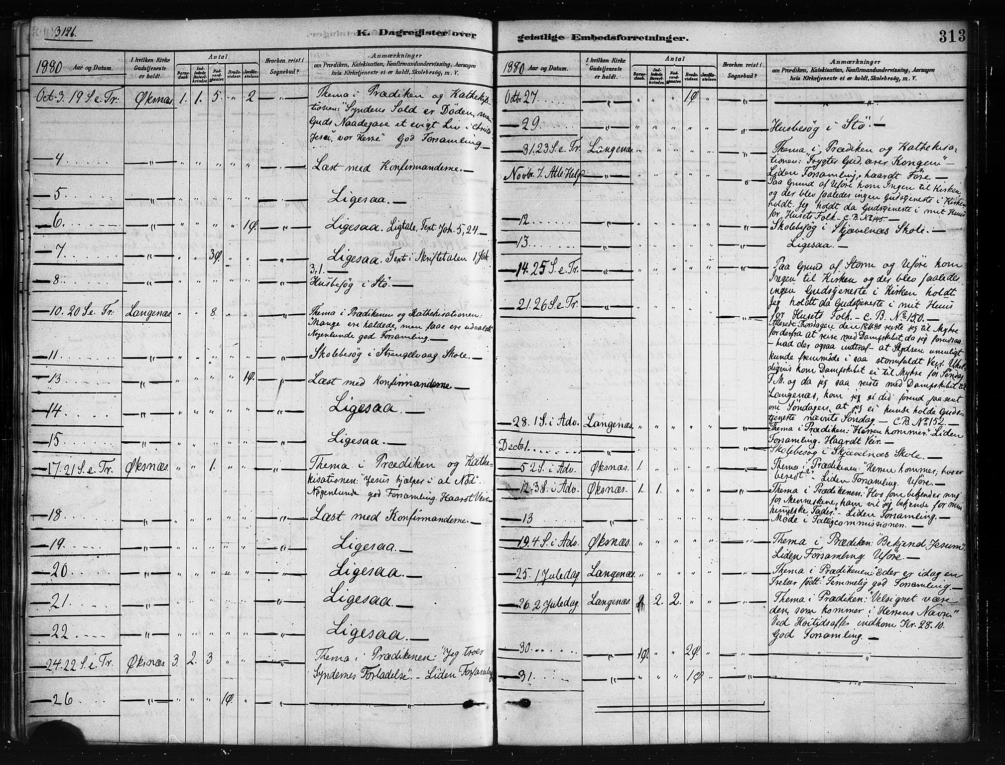 Ministerialprotokoller, klokkerbøker og fødselsregistre - Nordland, AV/SAT-A-1459/893/L1335: Parish register (official) no. 893A08 /1, 1878-1884, p. 313