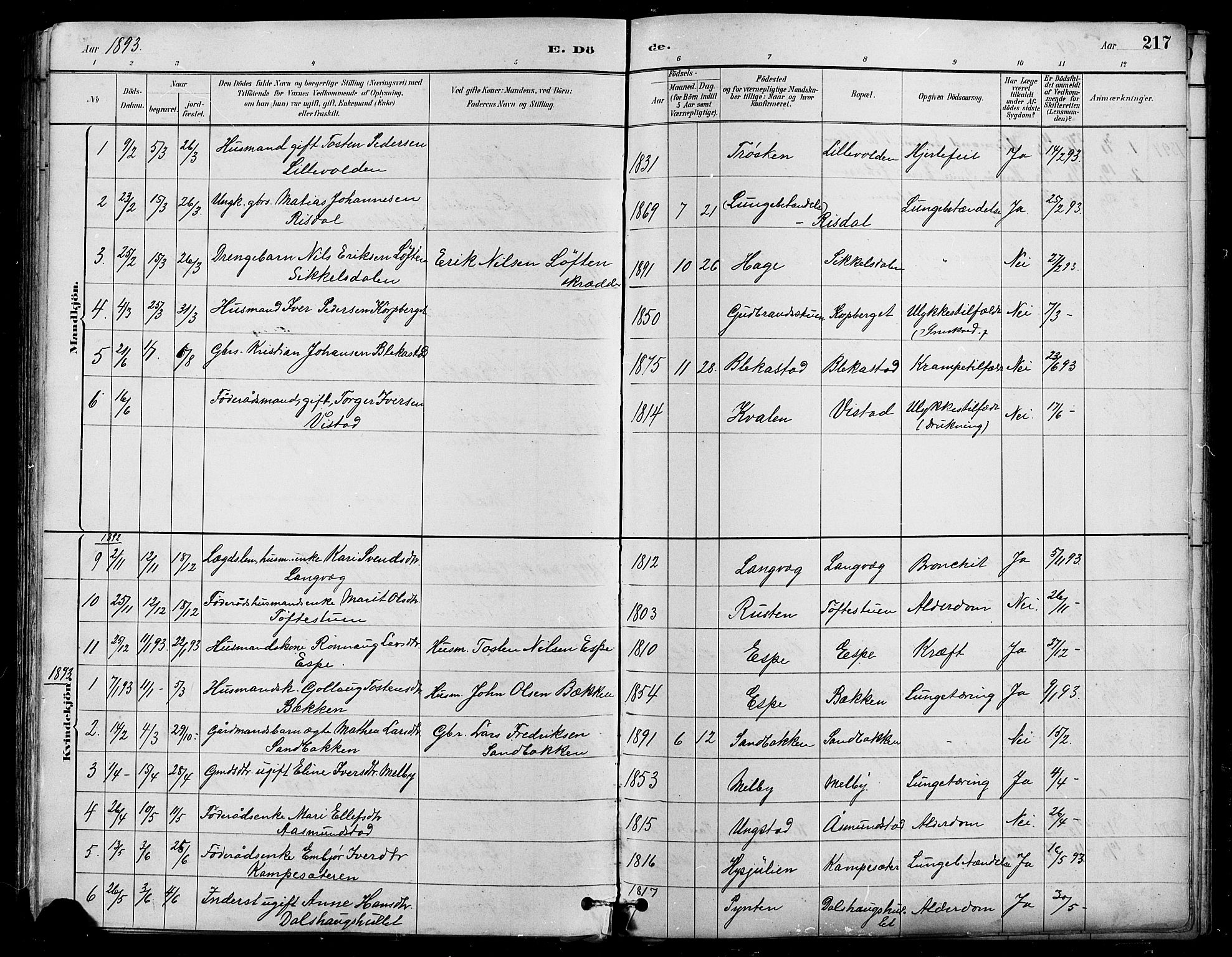 Nord-Fron prestekontor, AV/SAH-PREST-080/H/Ha/Hab/L0005: Parish register (copy) no. 5, 1884-1914, p. 217