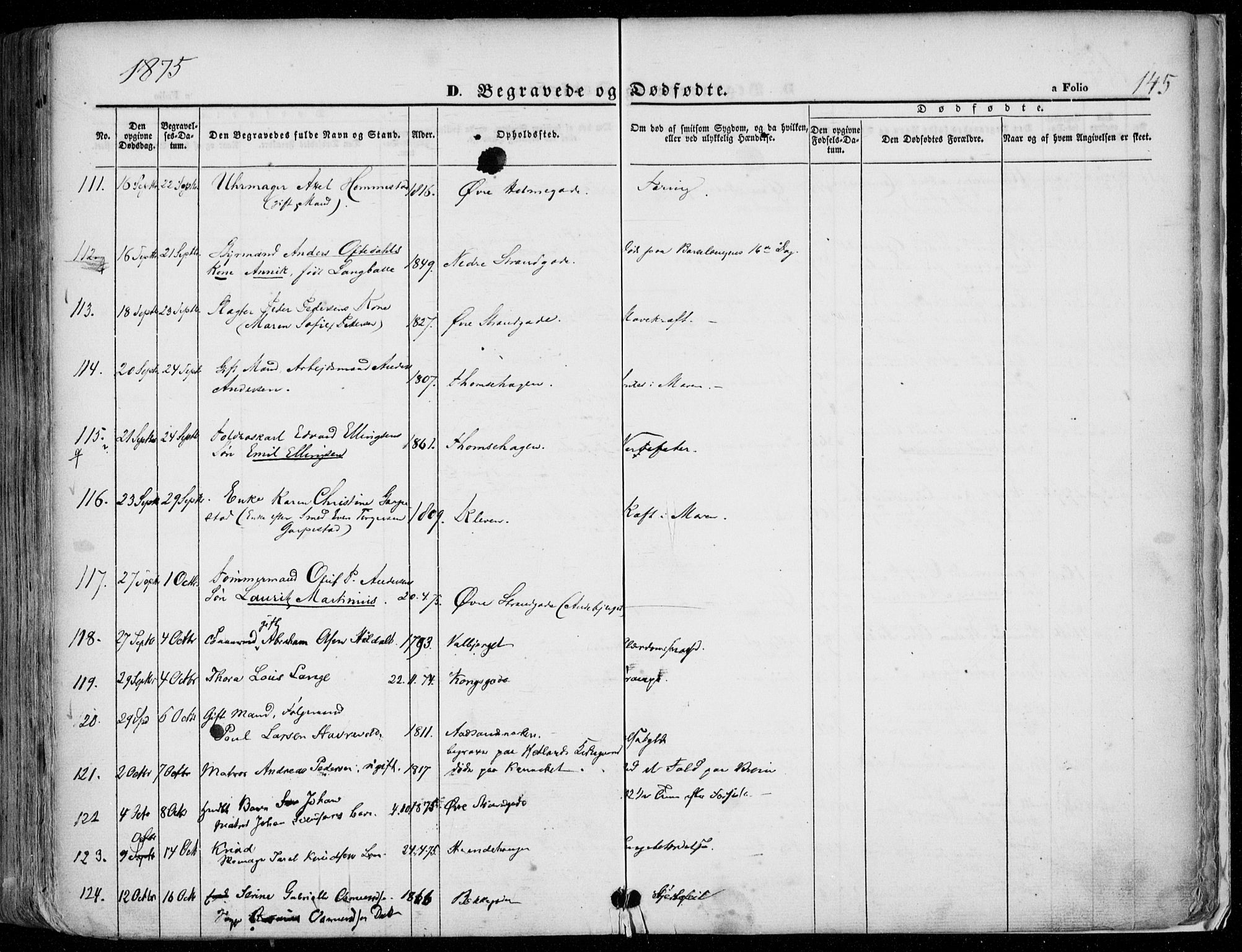 Domkirken sokneprestkontor, AV/SAST-A-101812/001/30/30BA/L0020: Parish register (official) no. A 19, 1858-1877, p. 145