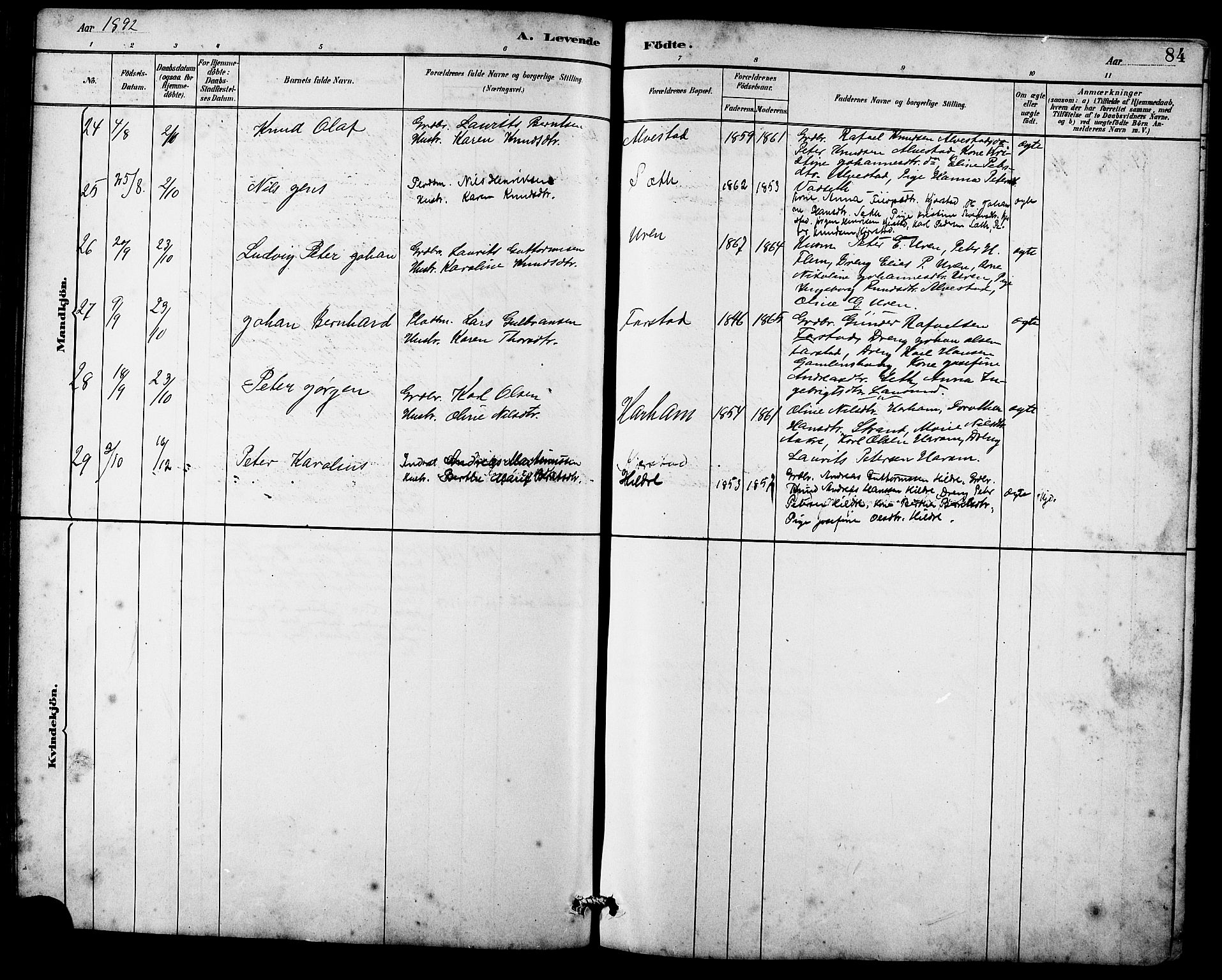 Ministerialprotokoller, klokkerbøker og fødselsregistre - Møre og Romsdal, AV/SAT-A-1454/536/L0510: Parish register (copy) no. 536C05, 1881-1898, p. 84