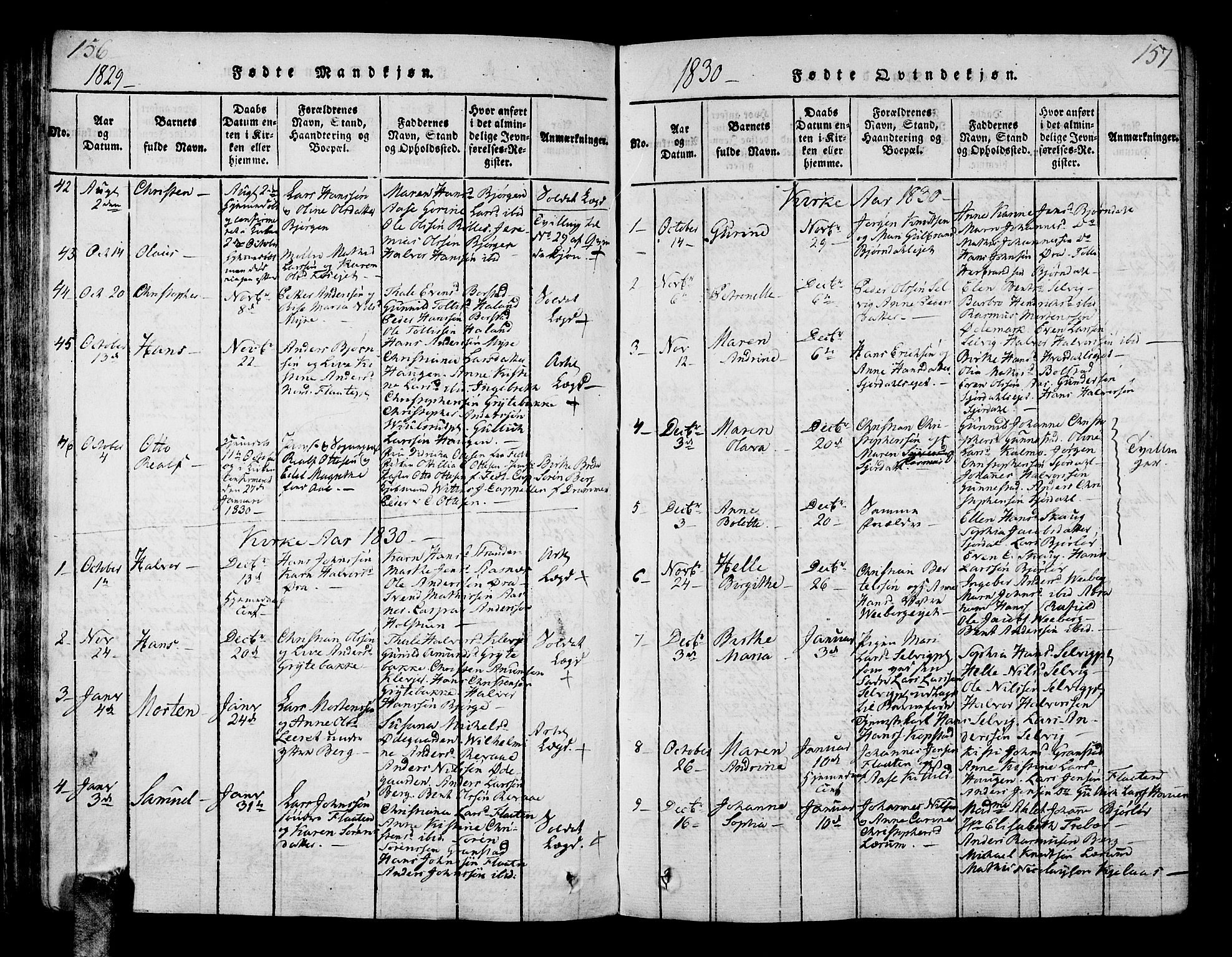 Sande Kirkebøker, SAKO/A-53/G/Ga/L0001: Parish register (copy) no. 1, 1814-1847, p. 156-157