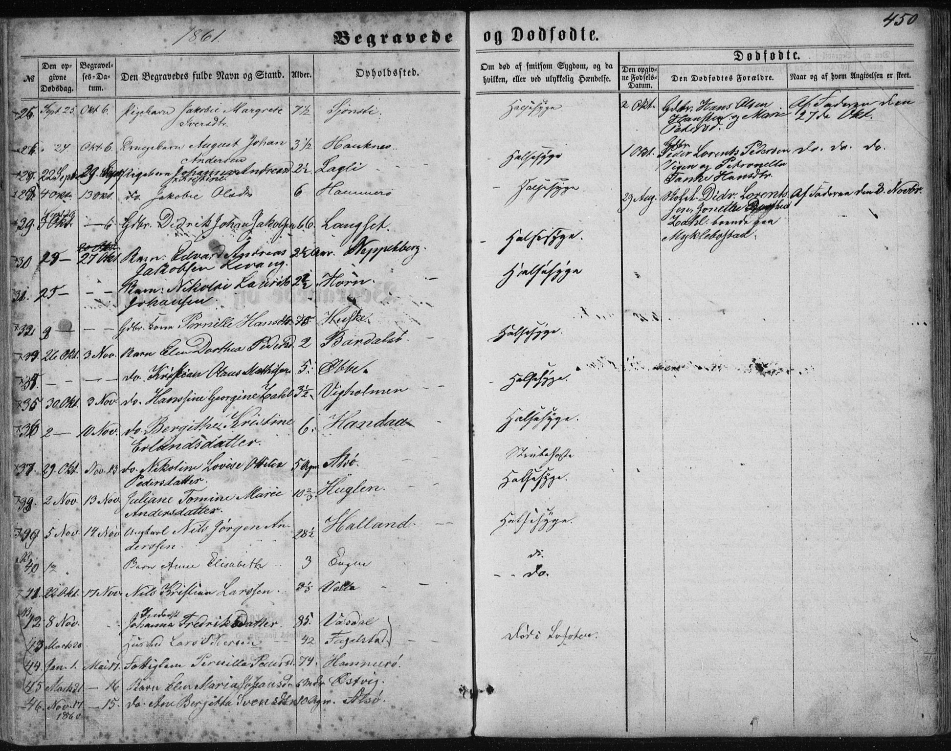 Ministerialprotokoller, klokkerbøker og fødselsregistre - Nordland, AV/SAT-A-1459/838/L0556: Parish register (copy) no. 838C03, 1861-1893, p. 450