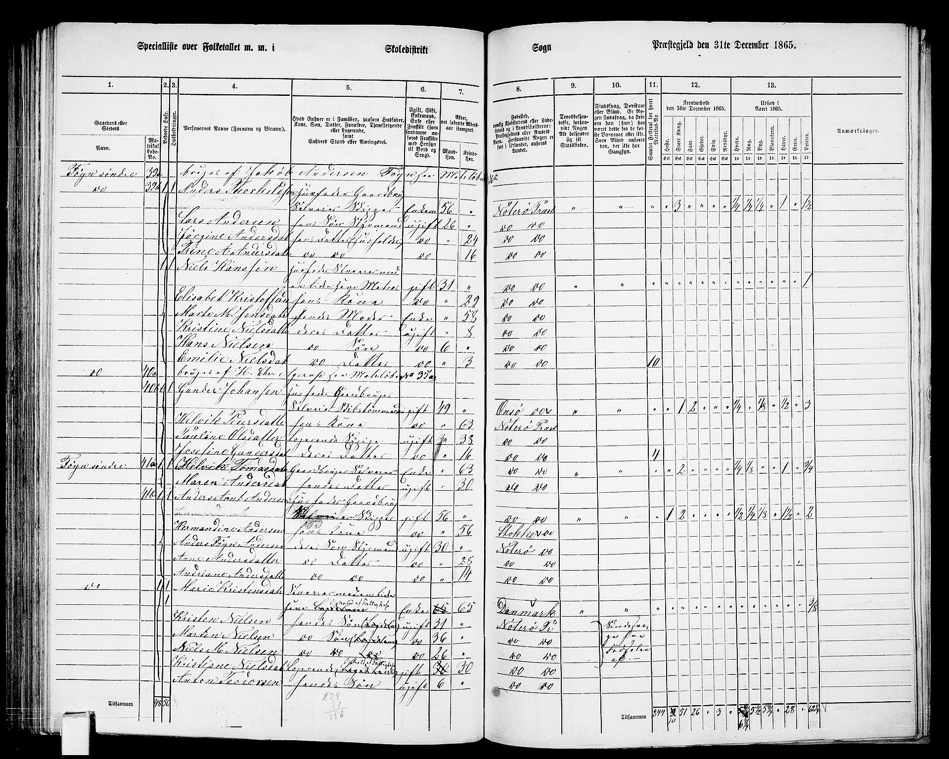 RA, 1865 census for Nøtterøy, 1865, p. 189