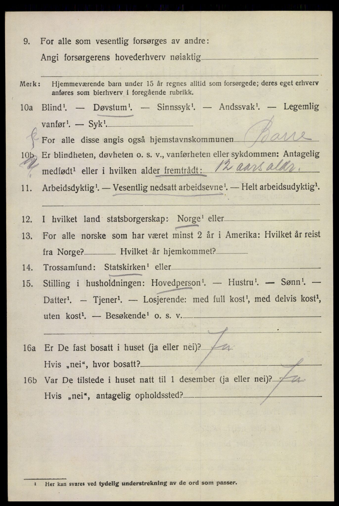SAKO, 1920 census for Borre, 1920, p. 6217