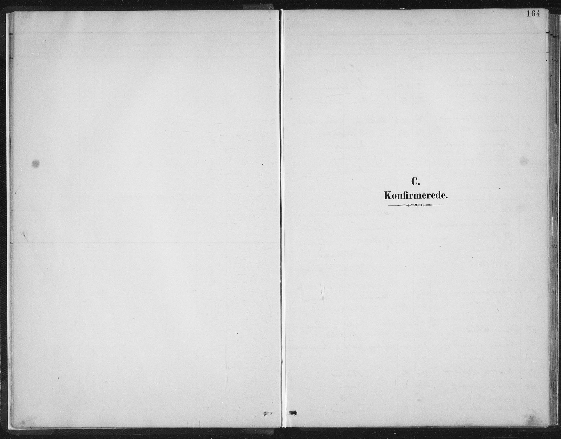 Hosanger sokneprestembete, AV/SAB-A-75801/H/Hab: Parish register (copy) no. A 3 II, 1882-1903, p. 164
