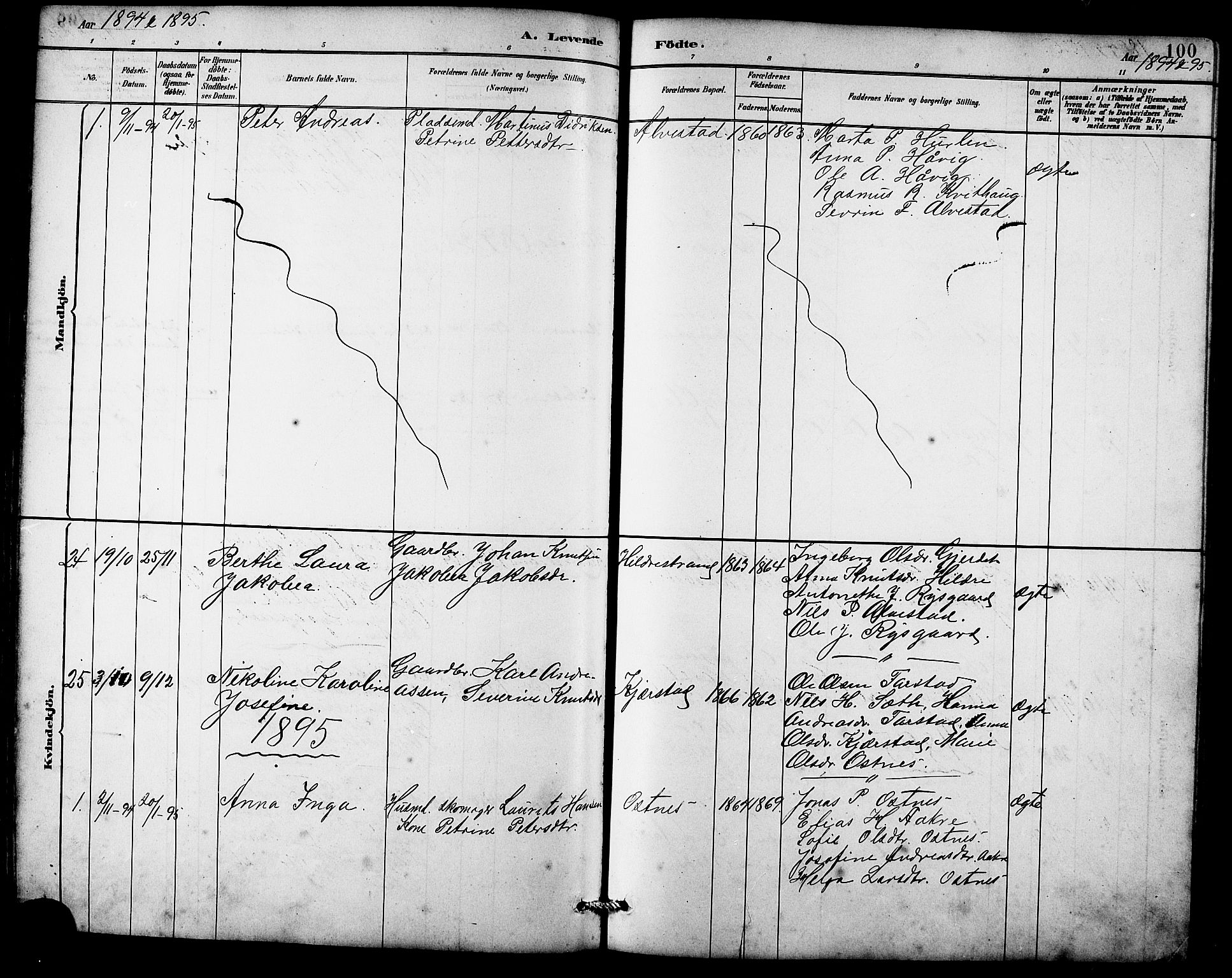 Ministerialprotokoller, klokkerbøker og fødselsregistre - Møre og Romsdal, AV/SAT-A-1454/536/L0510: Parish register (copy) no. 536C05, 1881-1898, p. 100