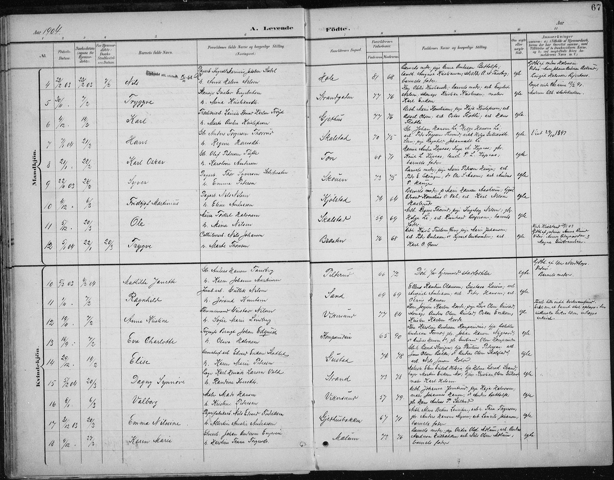 Modum kirkebøker, AV/SAKO-A-234/F/Fa/L0013: Parish register (official) no. 13, 1899-1907, p. 67