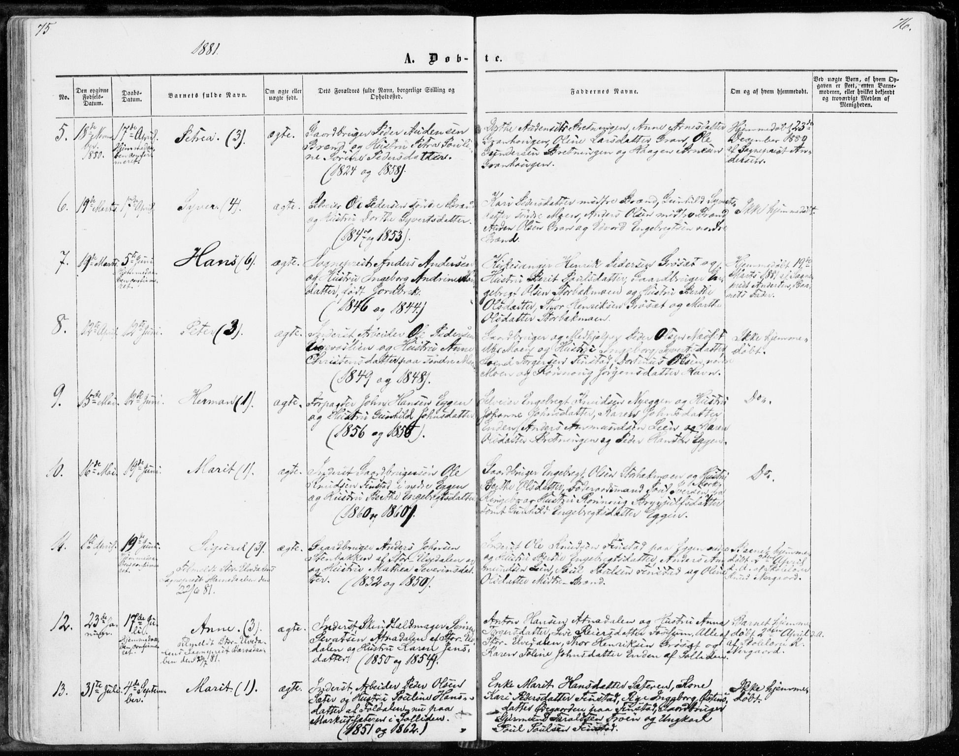 Sollia prestekontor, AV/SAH-PREST-050/H/Ha/Haa/L0001: Parish register (official) no. 1, 1856-1885, p. 75-76