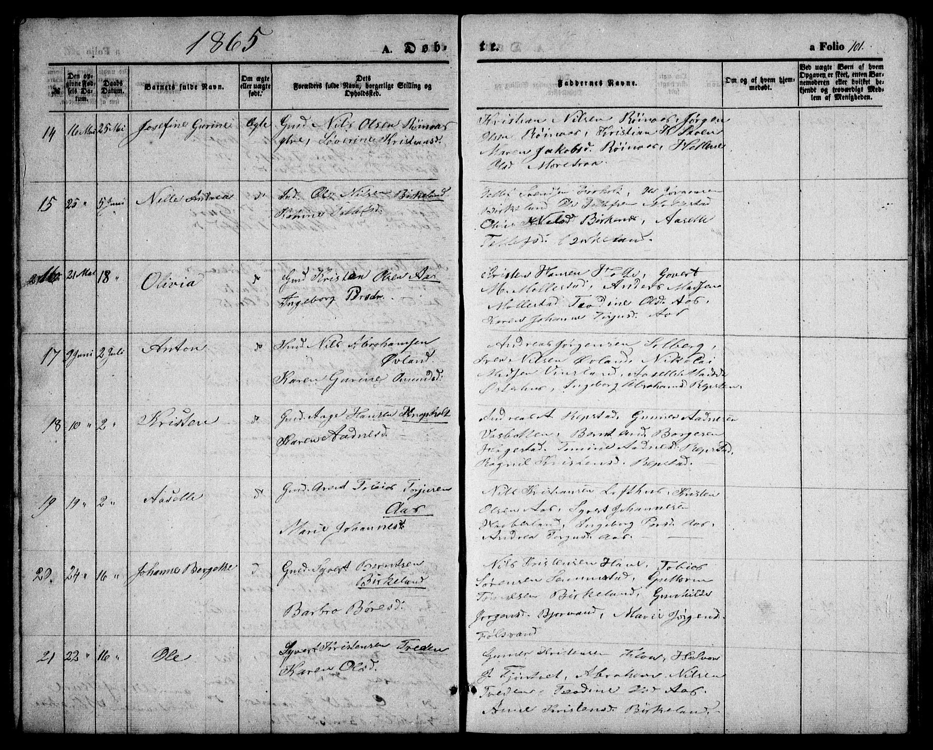 Birkenes sokneprestkontor, AV/SAK-1111-0004/F/Fb/L0002: Parish register (copy) no. B 2, 1849-1876, p. 101