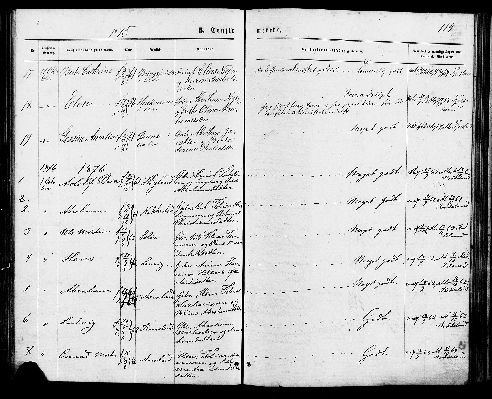 Lyngdal sokneprestkontor, SAK/1111-0029/F/Fa/Faa/L0003: Parish register (official) no. A 3, 1871-1882, p. 114