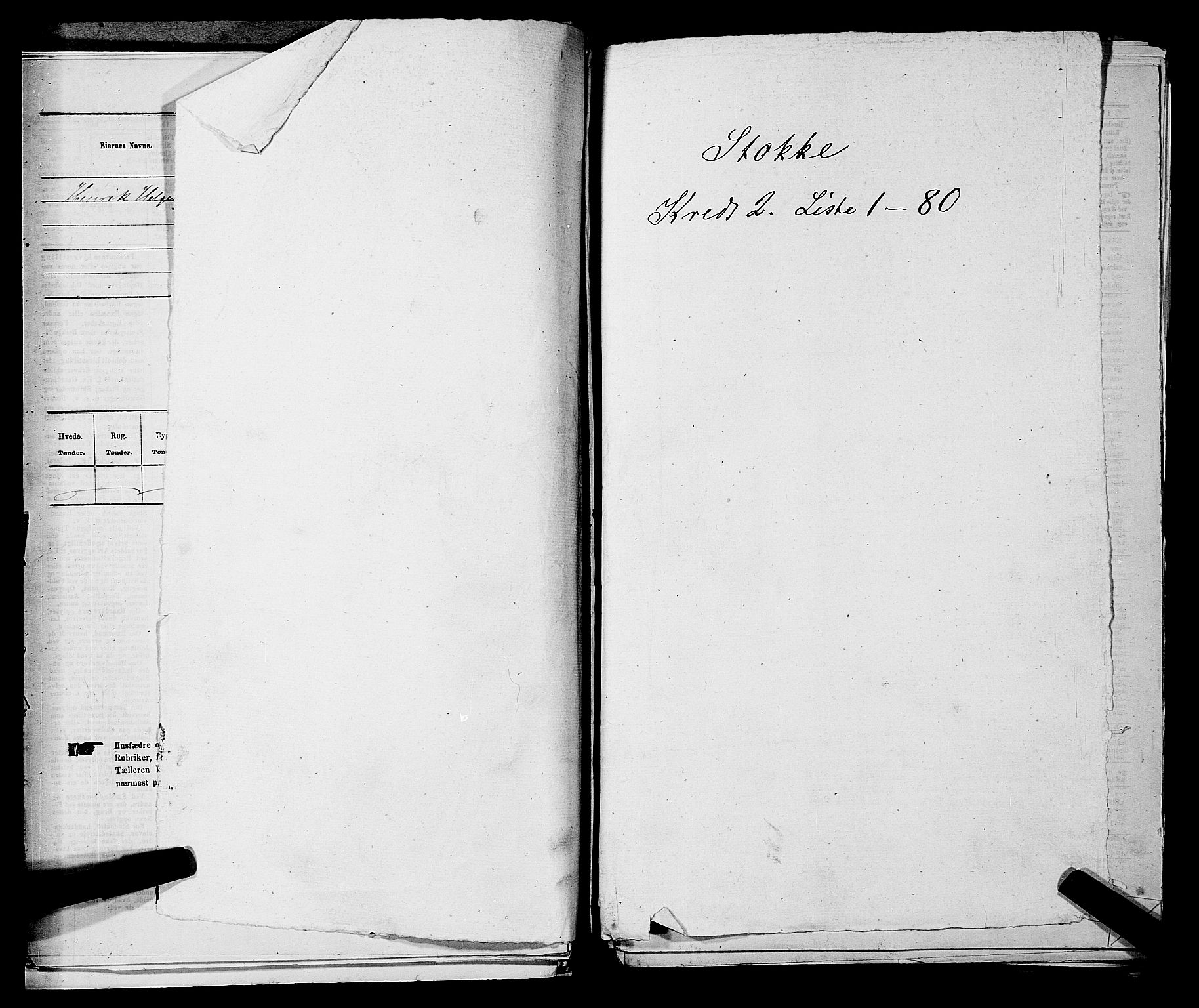 SAKO, 1875 census for 0720P Stokke, 1875, p. 294