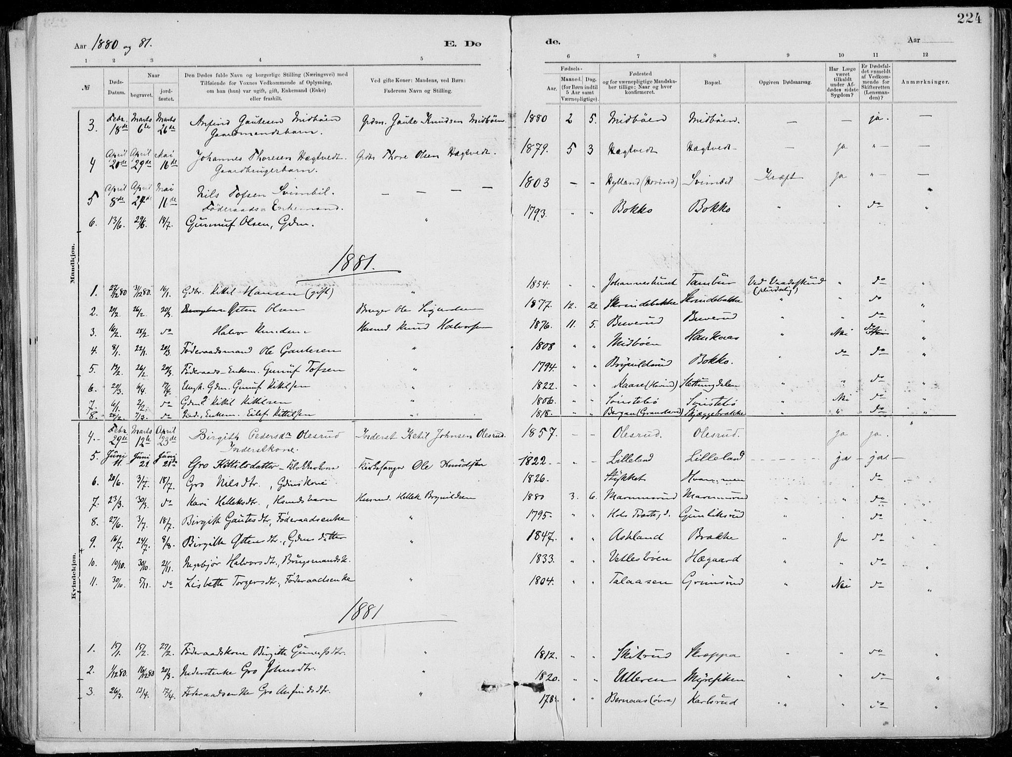 Tinn kirkebøker, SAKO/A-308/F/Fa/L0007: Parish register (official) no. I 7, 1878-1922, p. 224