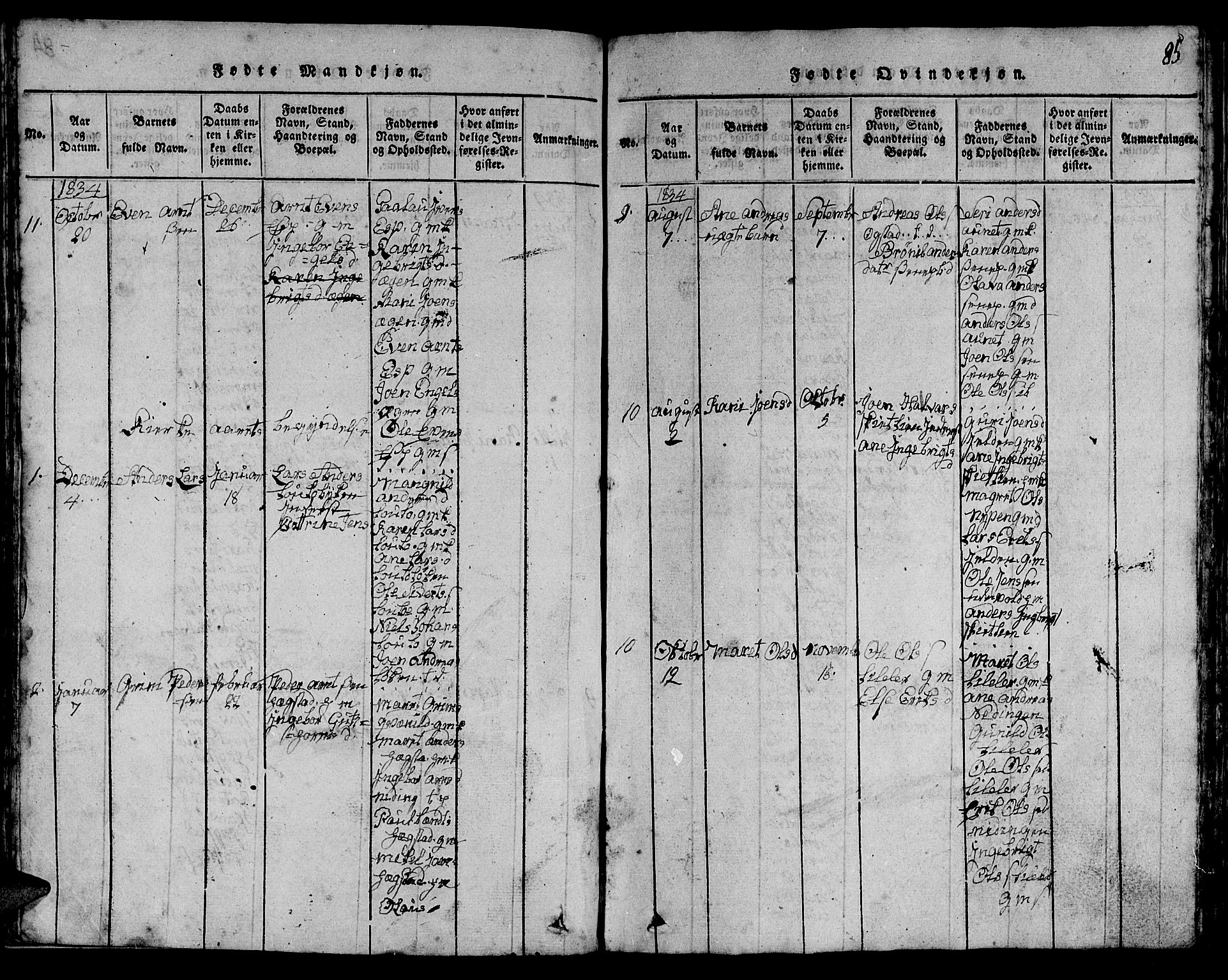 Ministerialprotokoller, klokkerbøker og fødselsregistre - Sør-Trøndelag, SAT/A-1456/613/L0393: Parish register (copy) no. 613C01, 1816-1886, p. 85