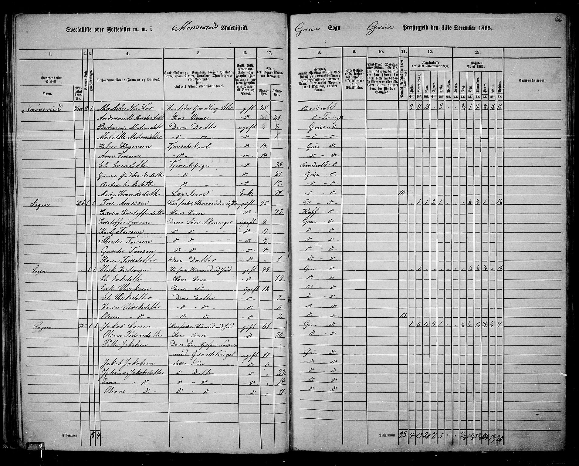 RA, 1865 census for Grue, 1865, p. 58