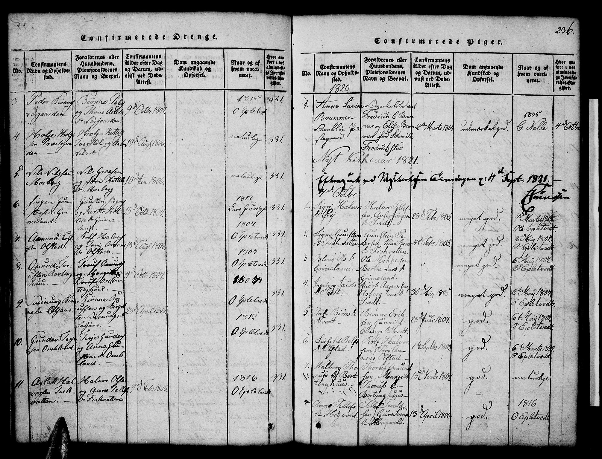 Åmli sokneprestkontor, AV/SAK-1111-0050/F/Fb/Fbc/L0001: Parish register (copy) no. B 1, 1816-1867, p. 236