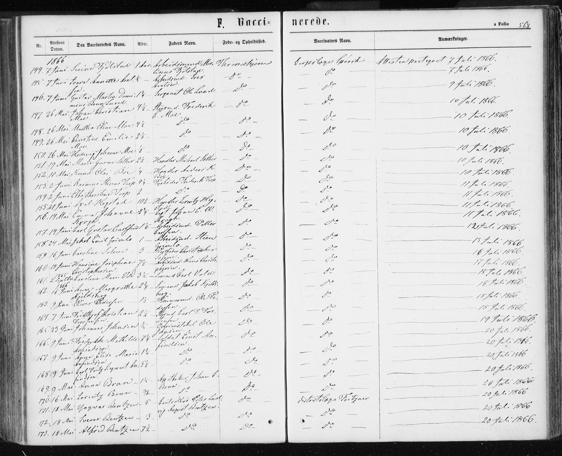 Ministerialprotokoller, klokkerbøker og fødselsregistre - Sør-Trøndelag, AV/SAT-A-1456/601/L0055: Parish register (official) no. 601A23, 1866-1877, p. 568