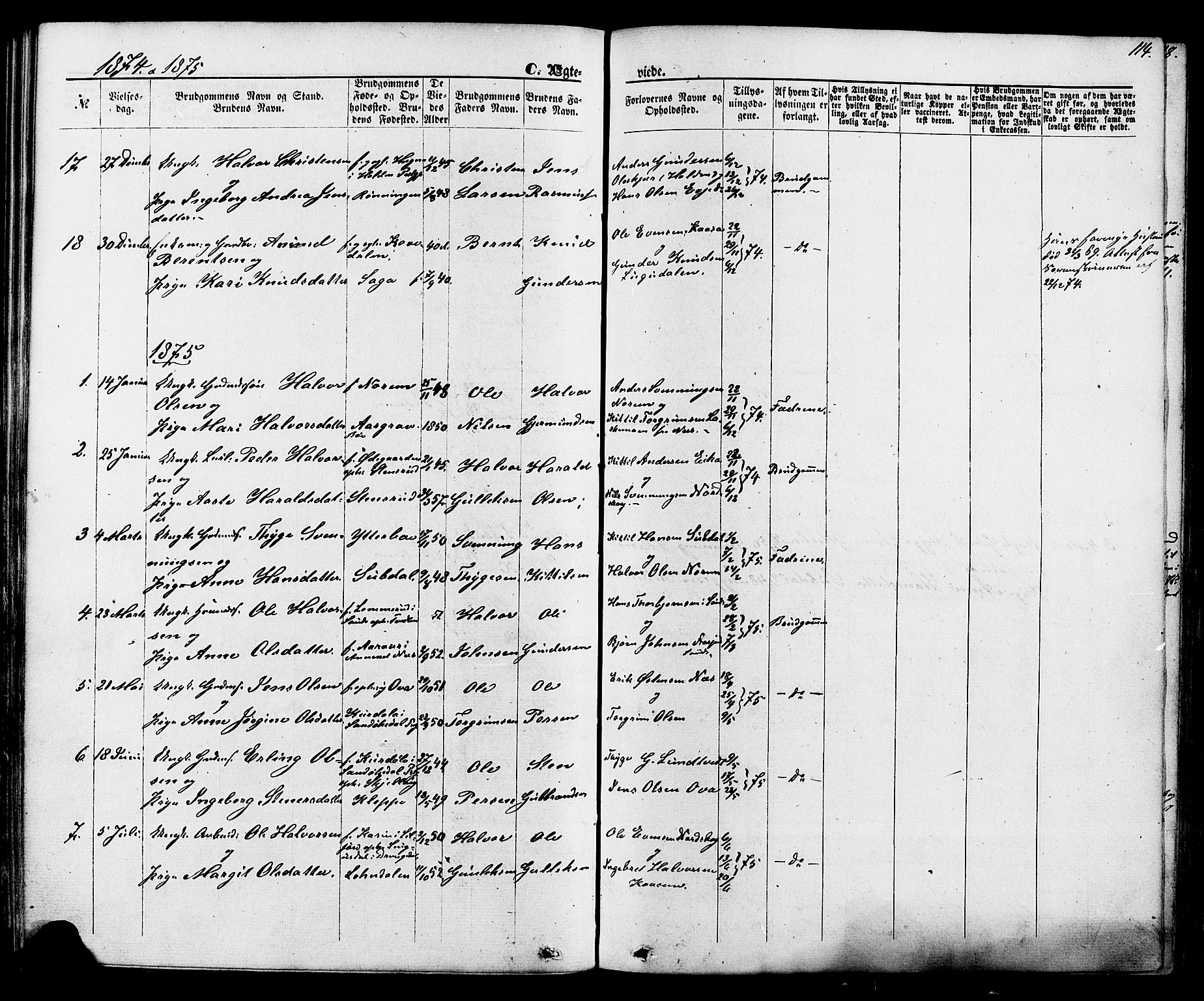 Lunde kirkebøker, AV/SAKO-A-282/F/Fa/L0001: Parish register (official) no. I 1, 1866-1883, p. 114