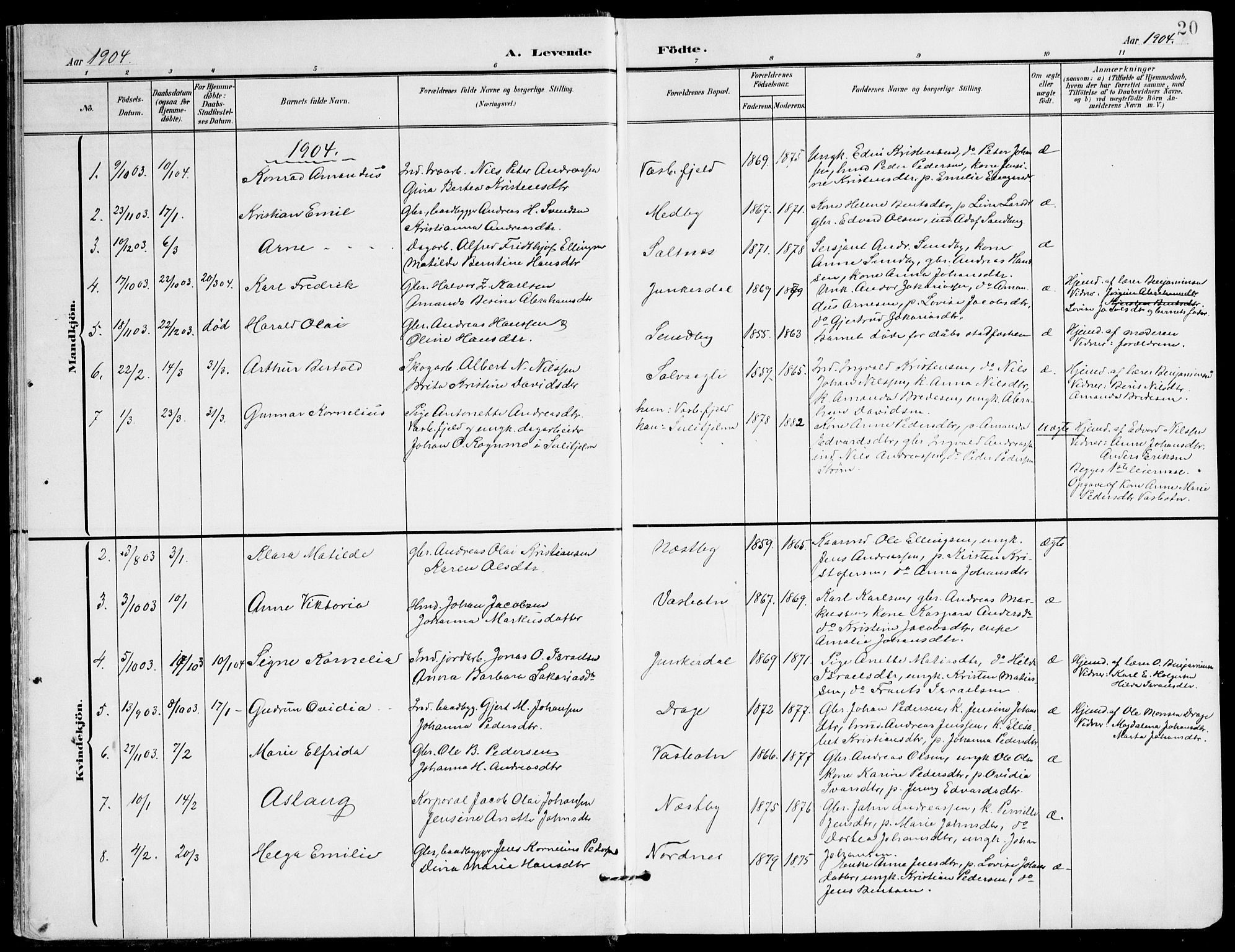 Ministerialprotokoller, klokkerbøker og fødselsregistre - Nordland, AV/SAT-A-1459/847/L0672: Parish register (official) no. 847A12, 1902-1919, p. 20