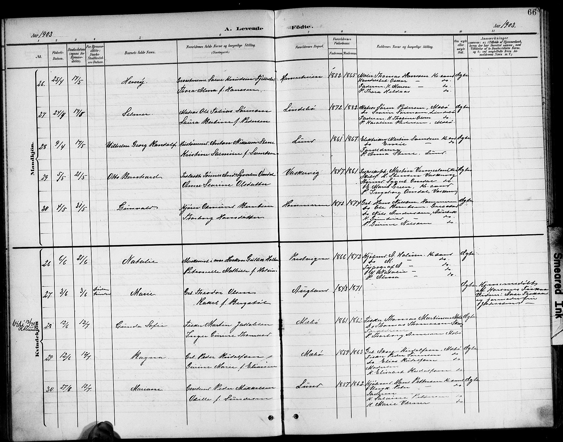 Oddernes sokneprestkontor, AV/SAK-1111-0033/F/Fb/Fba/L0009: Parish register (copy) no. B 9, 1899-1923, p. 66