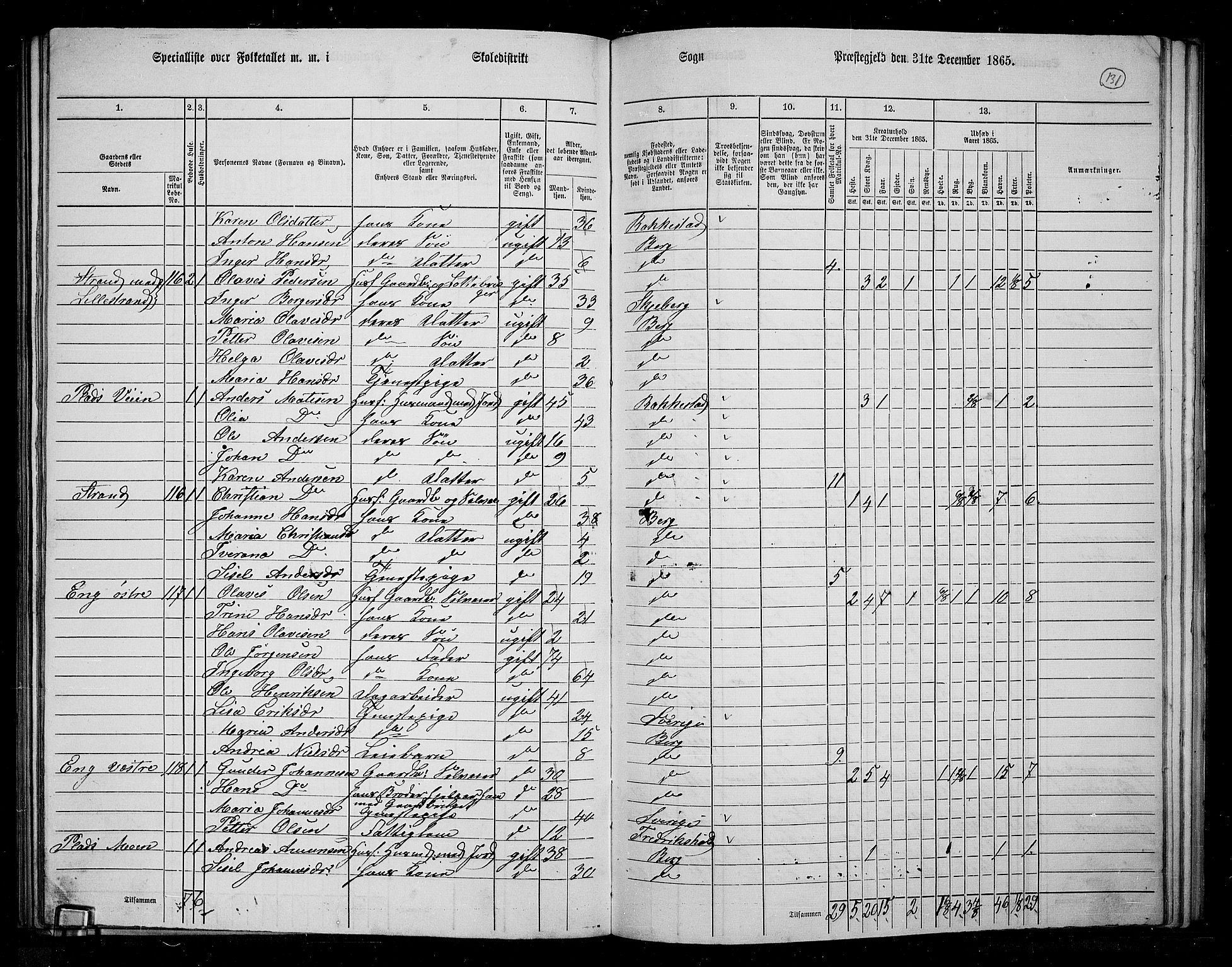RA, 1865 census for Berg, 1865, p. 114