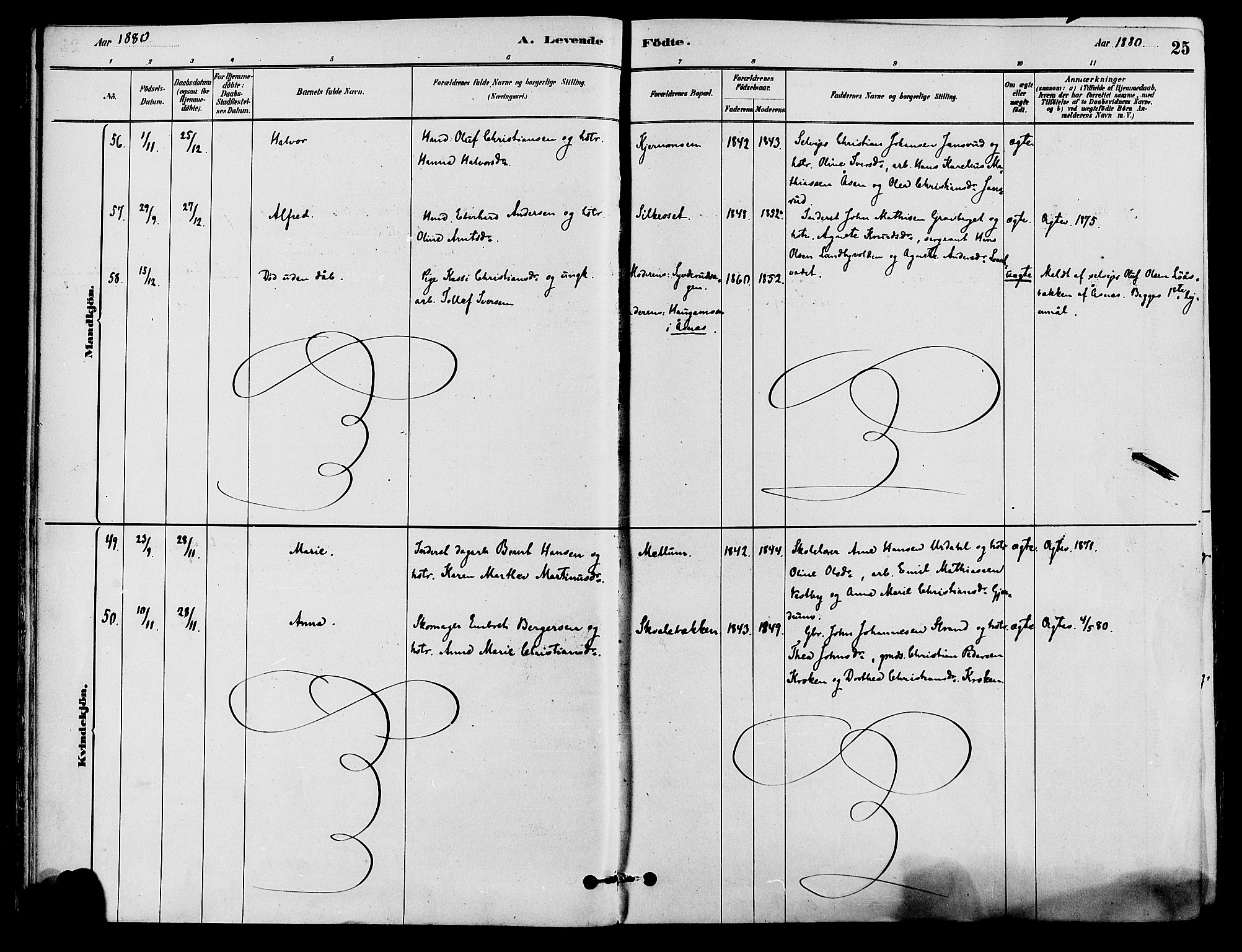 Våler prestekontor, Hedmark, AV/SAH-PREST-040/H/Ha/Haa/L0002: Parish register (official) no. 3, 1879-1911, p. 25