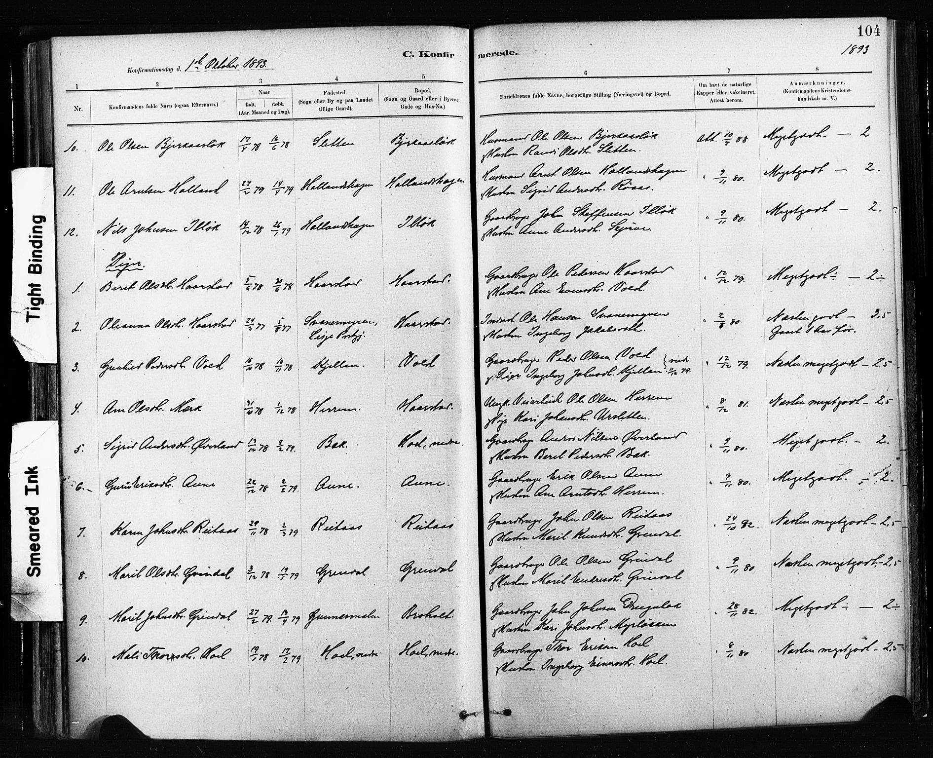 Ministerialprotokoller, klokkerbøker og fødselsregistre - Sør-Trøndelag, AV/SAT-A-1456/674/L0871: Parish register (official) no. 674A03, 1880-1896, p. 104