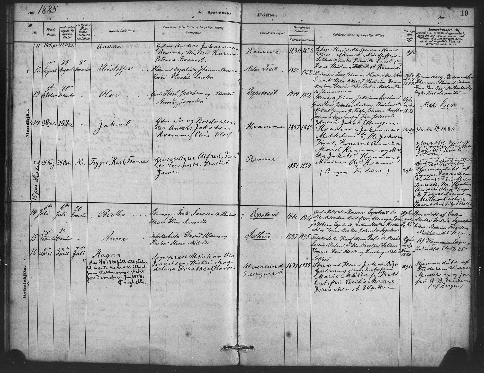 Alversund Sokneprestembete, AV/SAB-A-73901/H/Ha/Haa/Haaa/L0001: Parish register (official) no. A 1, 1882-1896, p. 19