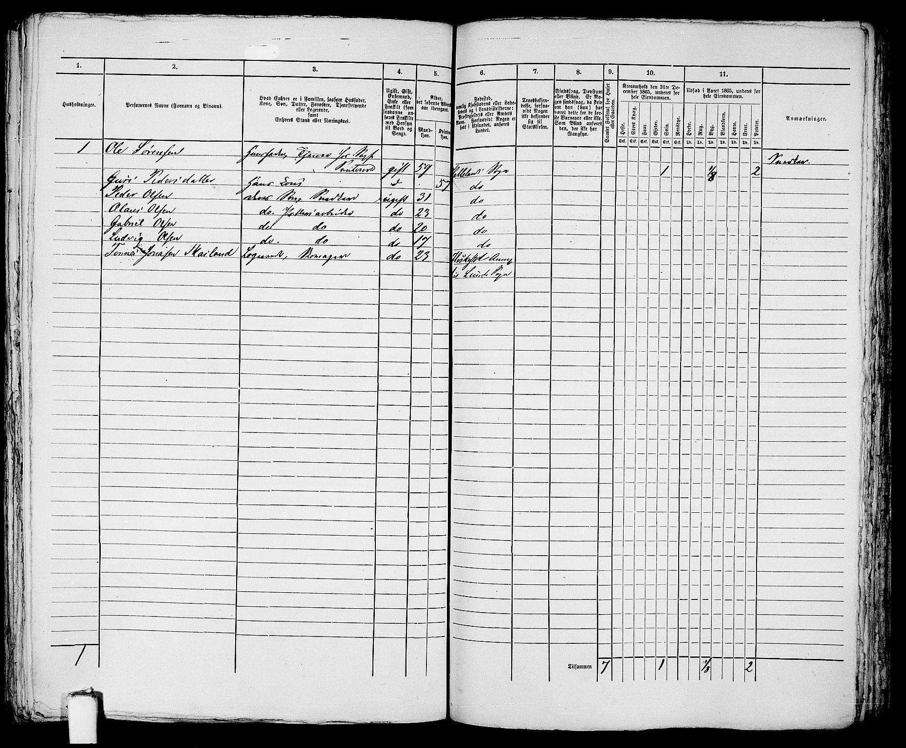 RA, 1865 census for Eigersund parish, Egersund town, 1865, p. 417