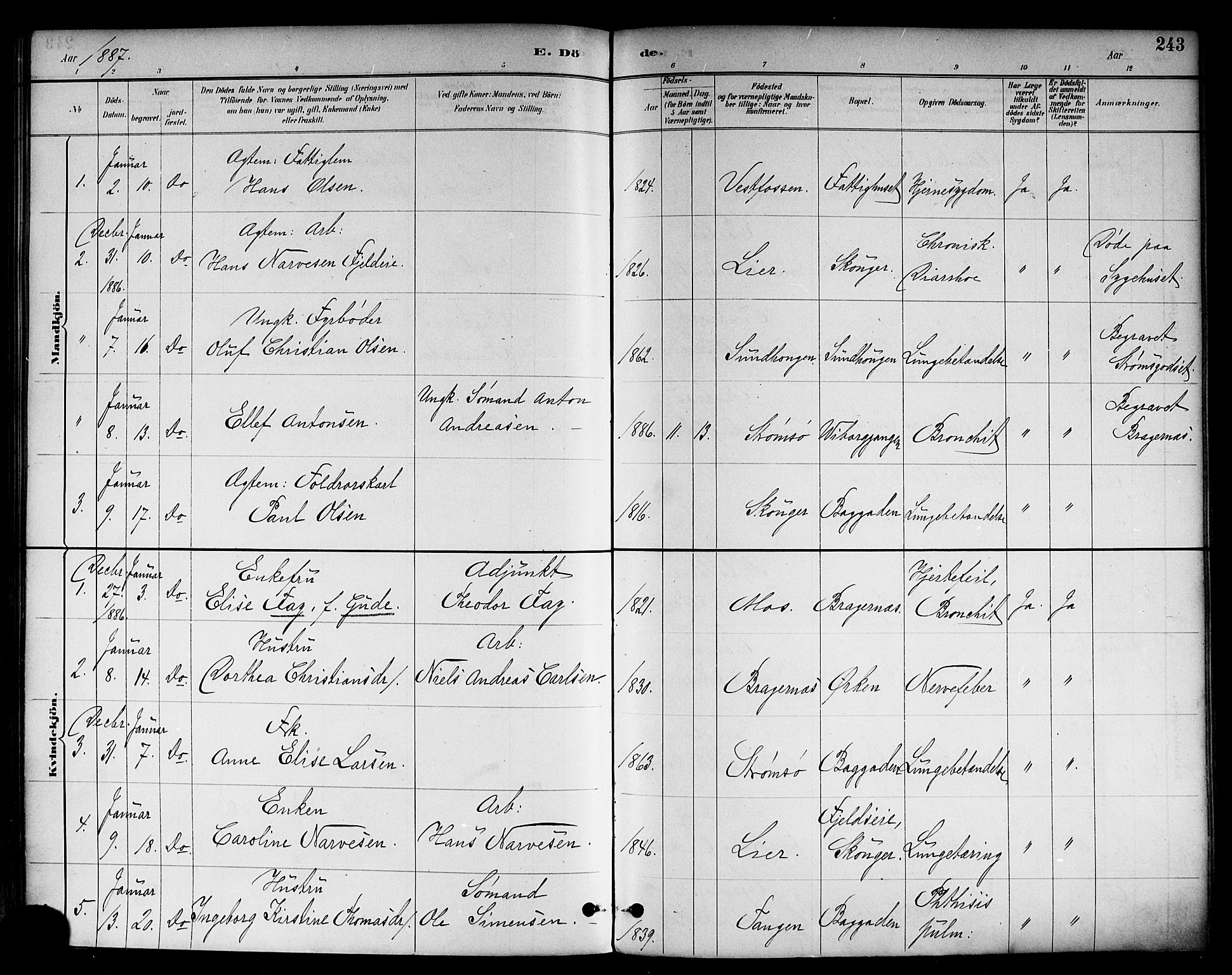 Strømsø kirkebøker, SAKO/A-246/F/Fa/L0023: Parish register (official) no. I 23, 1885-1894, p. 243