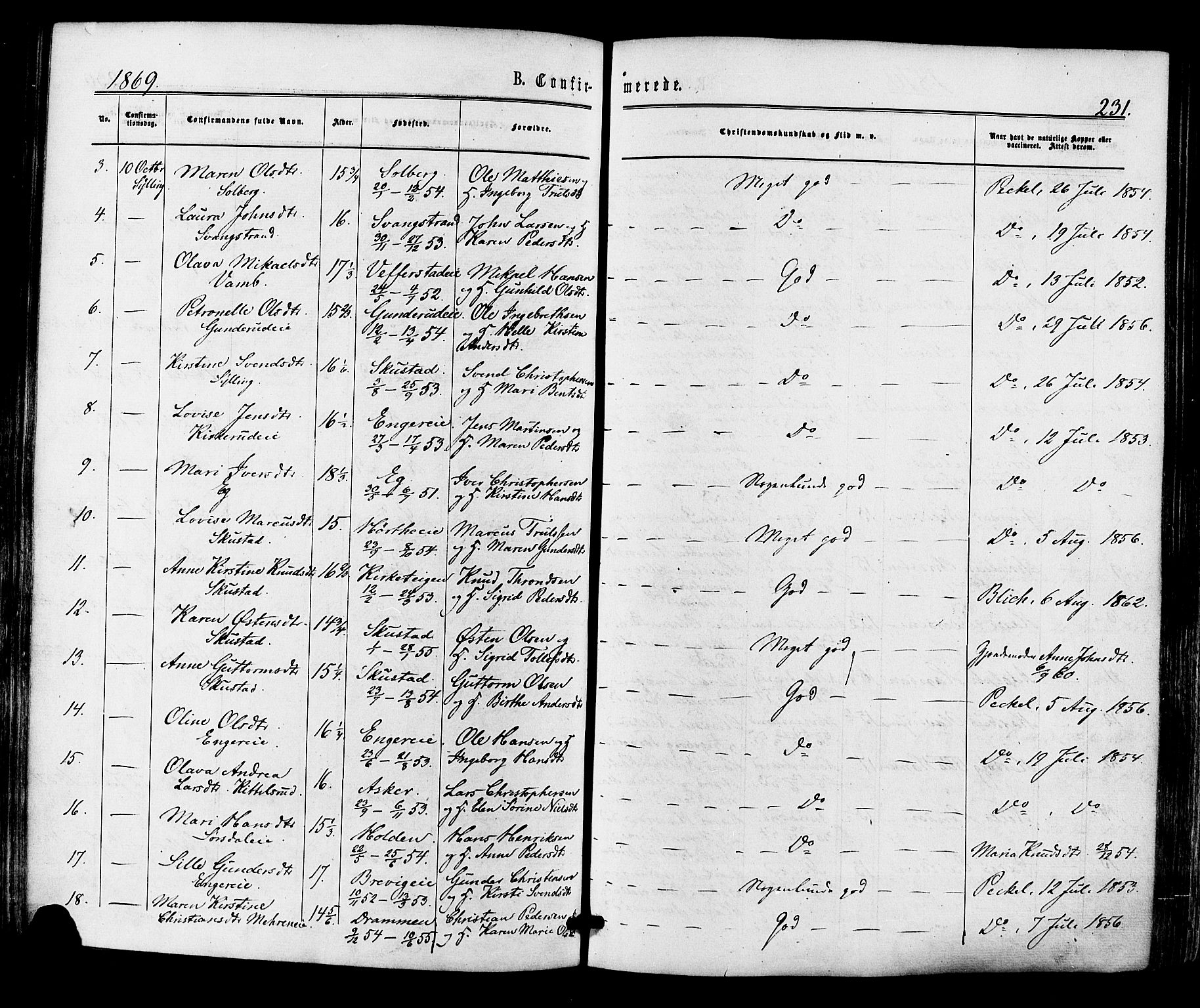 Lier kirkebøker, SAKO/A-230/F/Fa/L0013: Parish register (official) no. I 13, 1865-1874, p. 231