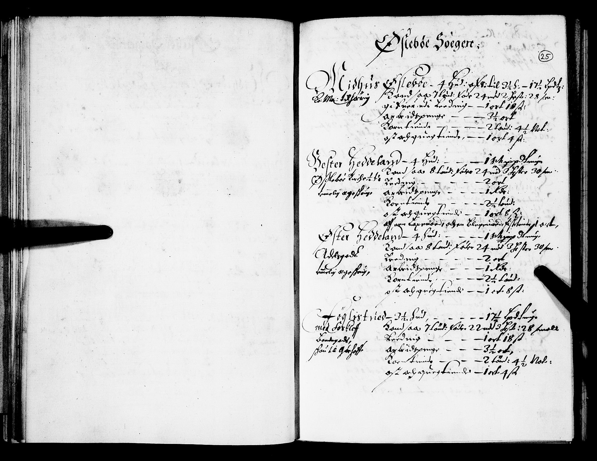 Rentekammeret inntil 1814, Realistisk ordnet avdeling, AV/RA-EA-4070/N/Nb/Nba/L0030: Mandal amt, 1668, p. 24b-25a