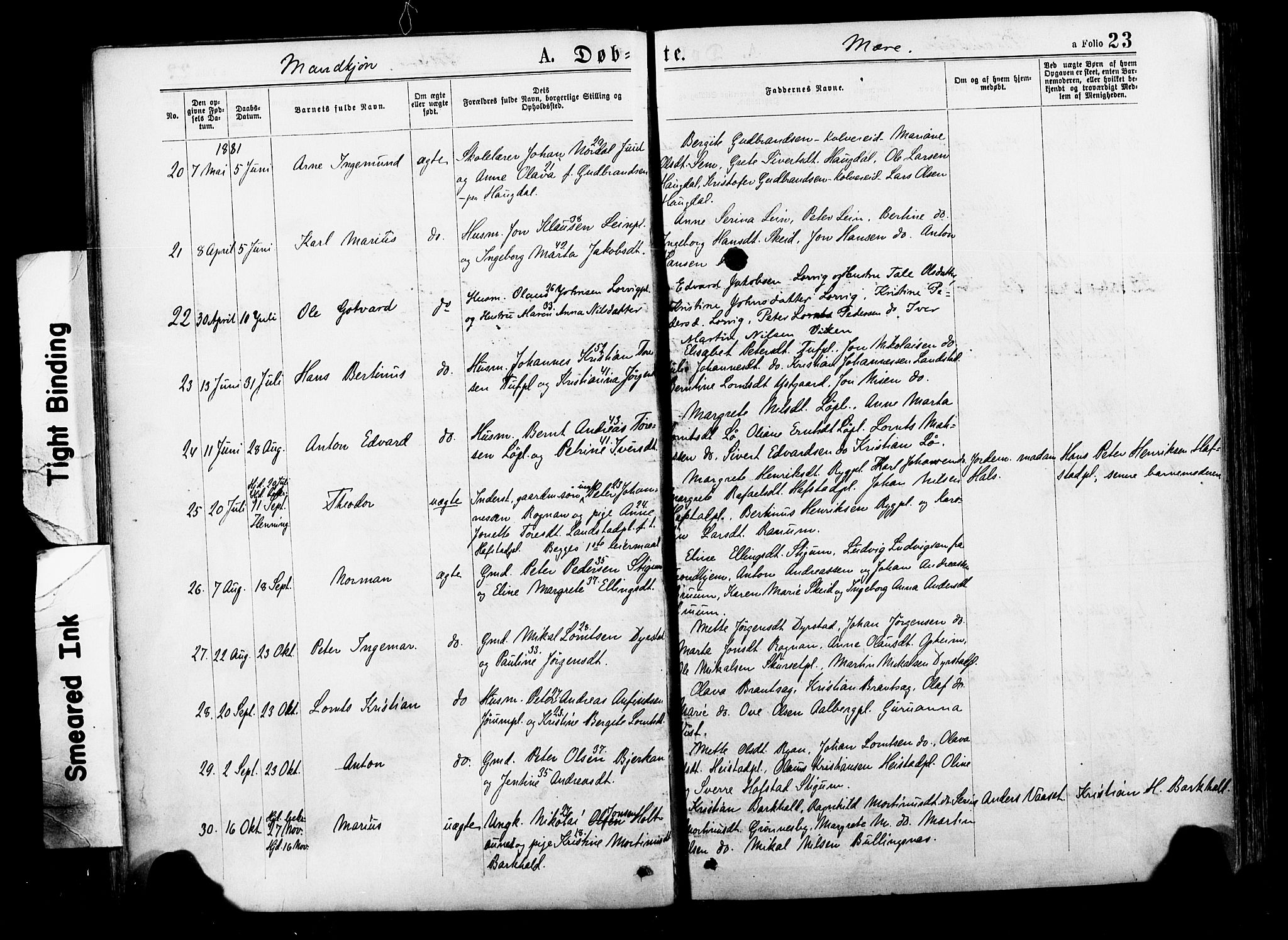 Ministerialprotokoller, klokkerbøker og fødselsregistre - Nord-Trøndelag, AV/SAT-A-1458/735/L0348: Parish register (official) no. 735A09 /1, 1873-1883, p. 23