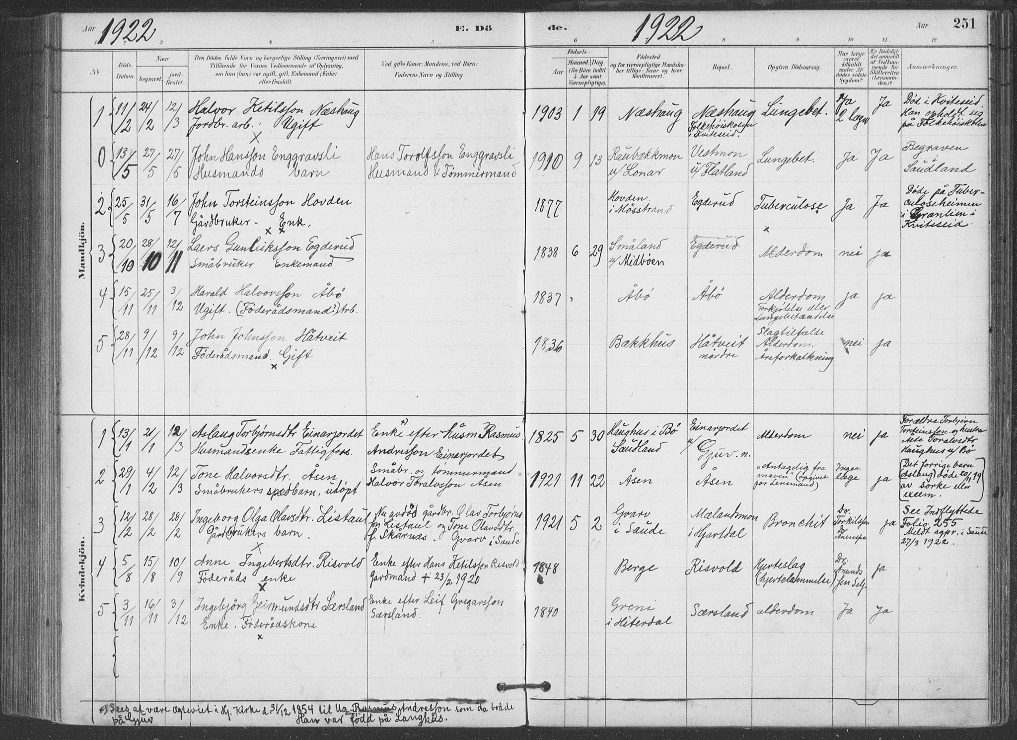 Hjartdal kirkebøker, SAKO/A-270/F/Fa/L0010: Parish register (official) no. I 10, 1880-1929, p. 251