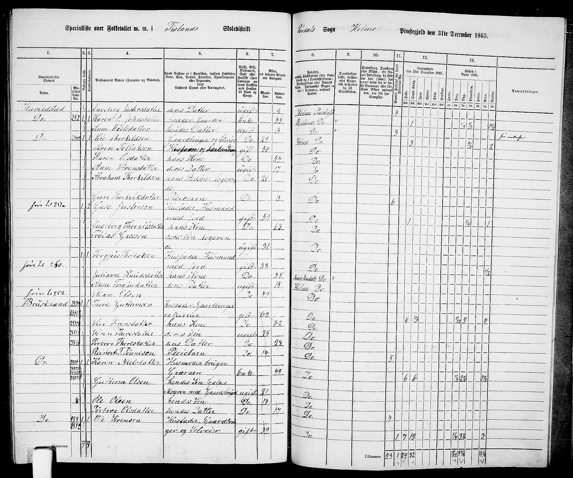 RA, 1865 census for Holum, 1865, p. 161