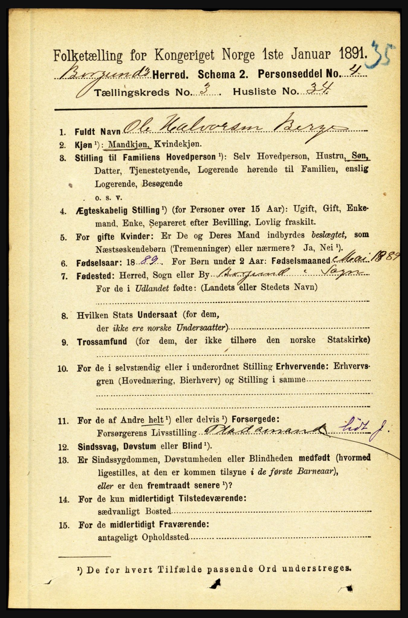 RA, 1891 census for 1423 Borgund, 1891, p. 785