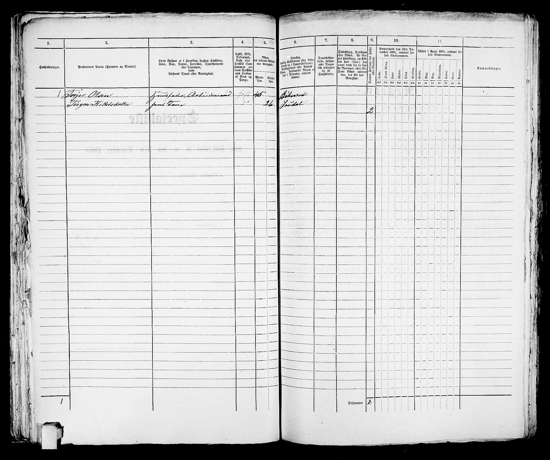 RA, 1865 census for Porsgrunn, 1865, p. 53