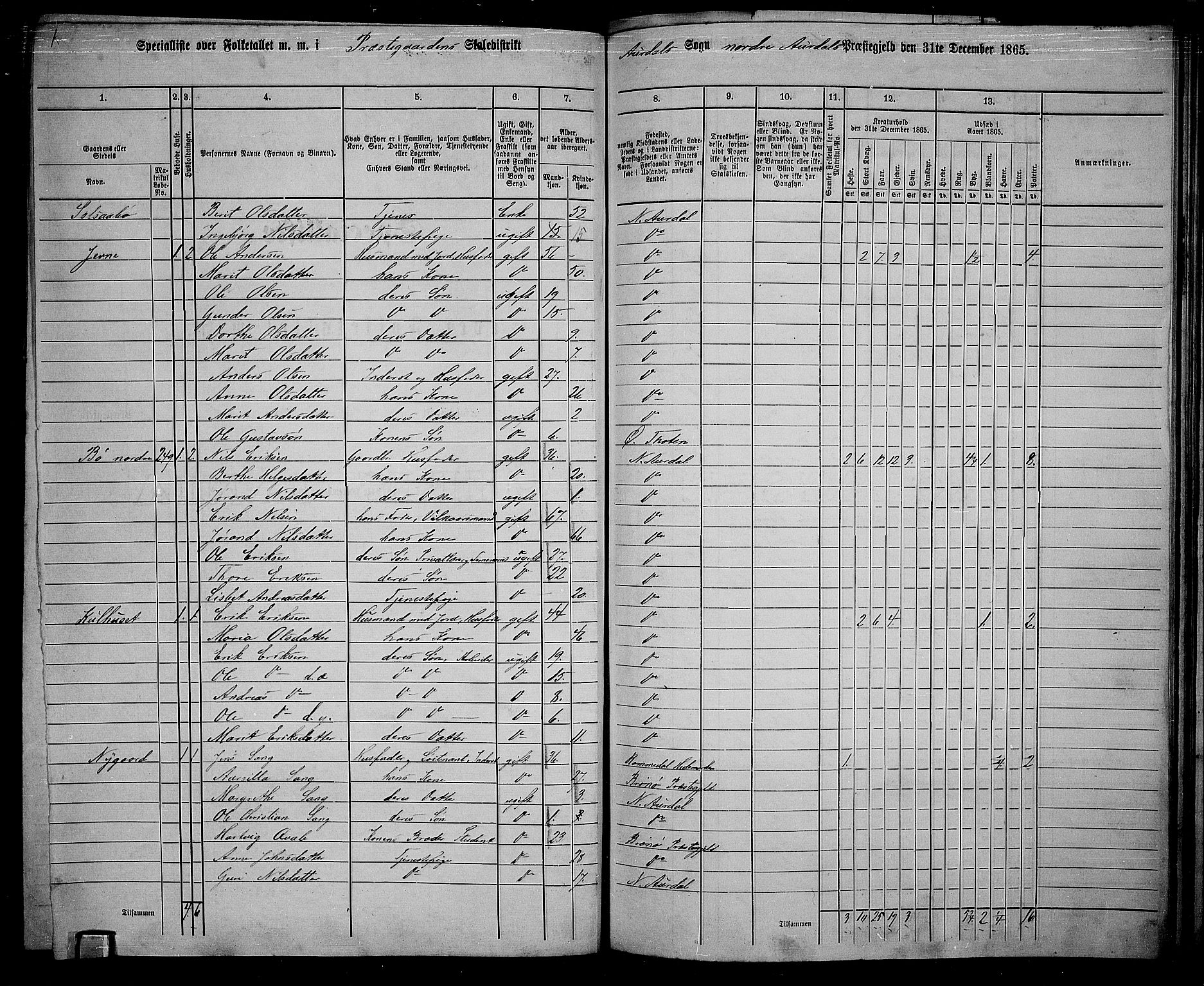 RA, 1865 census for Nord-Aurdal, 1865, p. 190