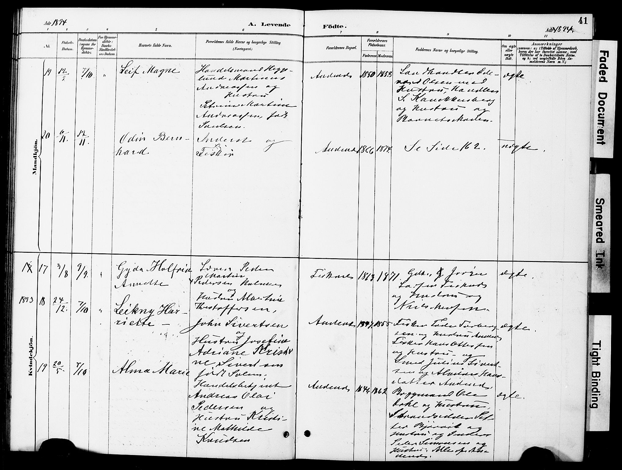 Ministerialprotokoller, klokkerbøker og fødselsregistre - Nordland, AV/SAT-A-1459/899/L1448: Parish register (copy) no. 899C03, 1887-1902, p. 41