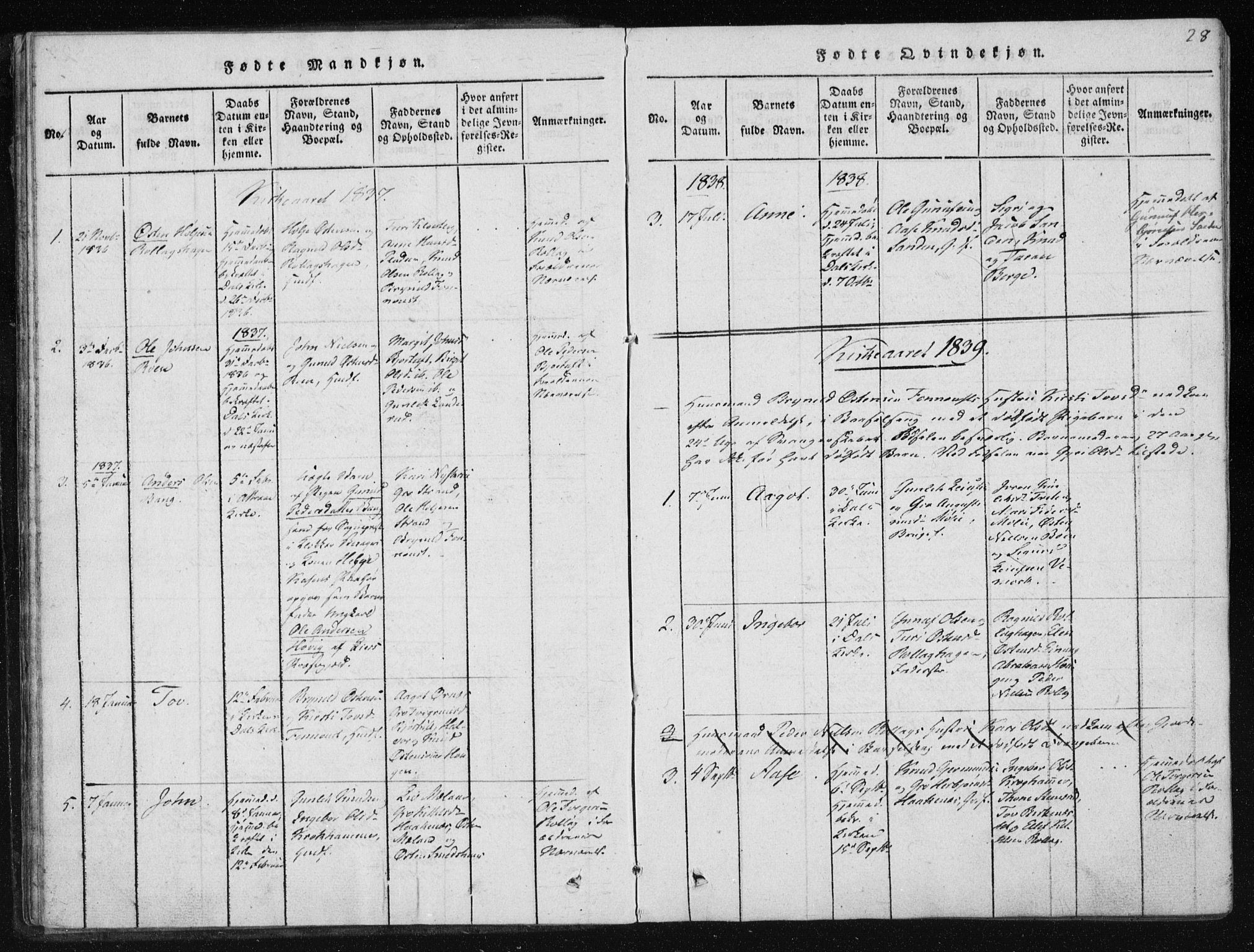 Tinn kirkebøker, AV/SAKO-A-308/F/Fb/L0001: Parish register (official) no. II 1, 1815-1843, p. 28