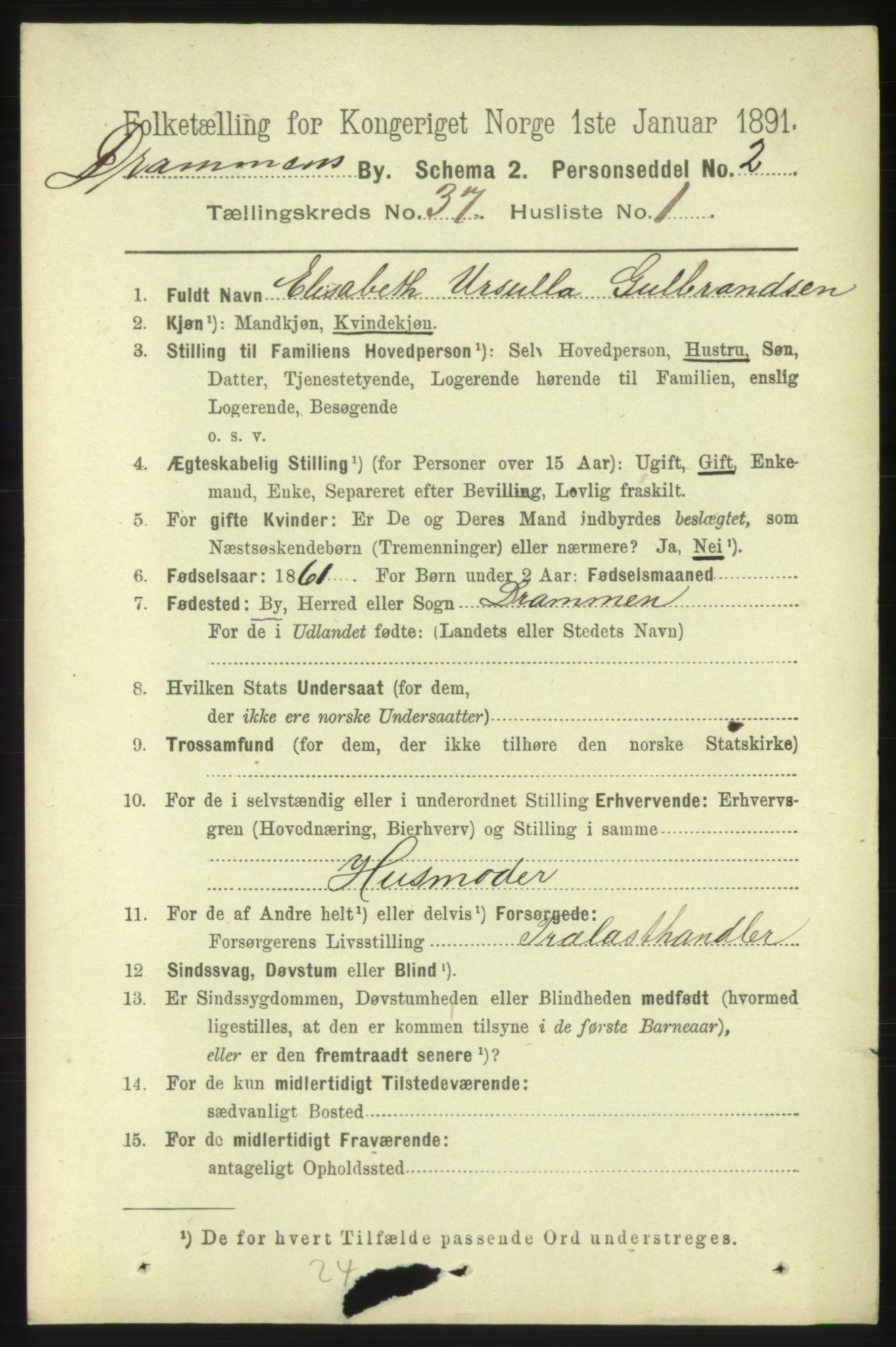 RA, 1891 census for 0602 Drammen, 1891, p. 22801