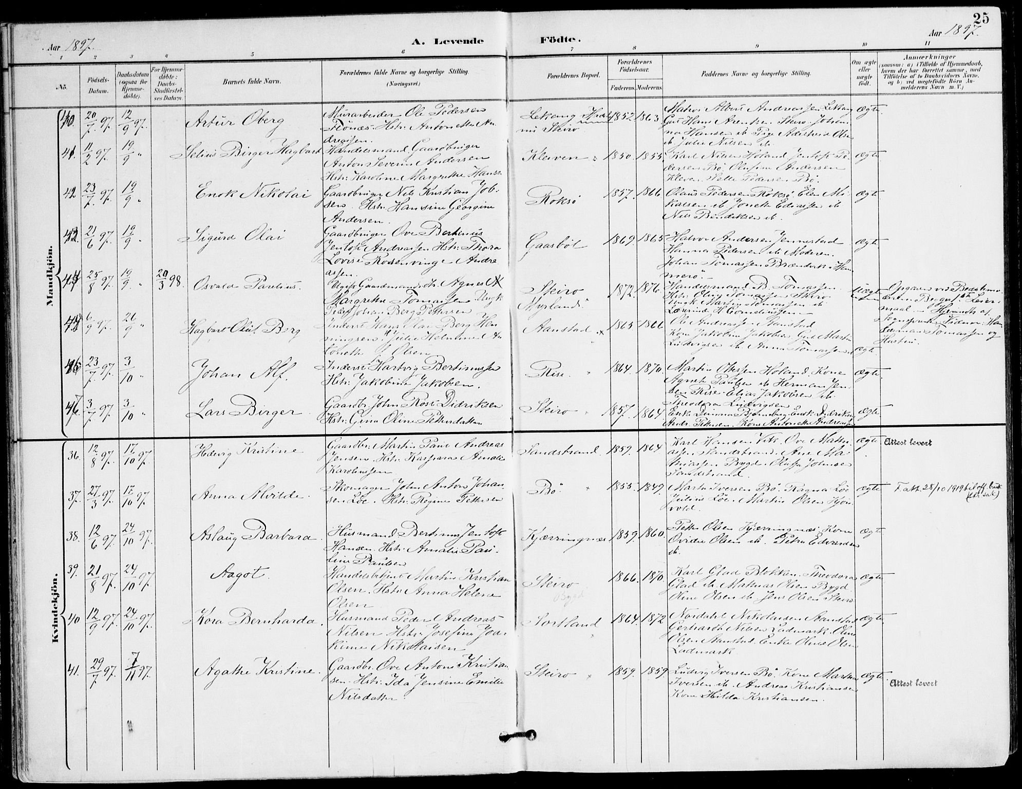 Ministerialprotokoller, klokkerbøker og fødselsregistre - Nordland, AV/SAT-A-1459/895/L1372: Parish register (official) no. 895A07, 1894-1914, p. 25