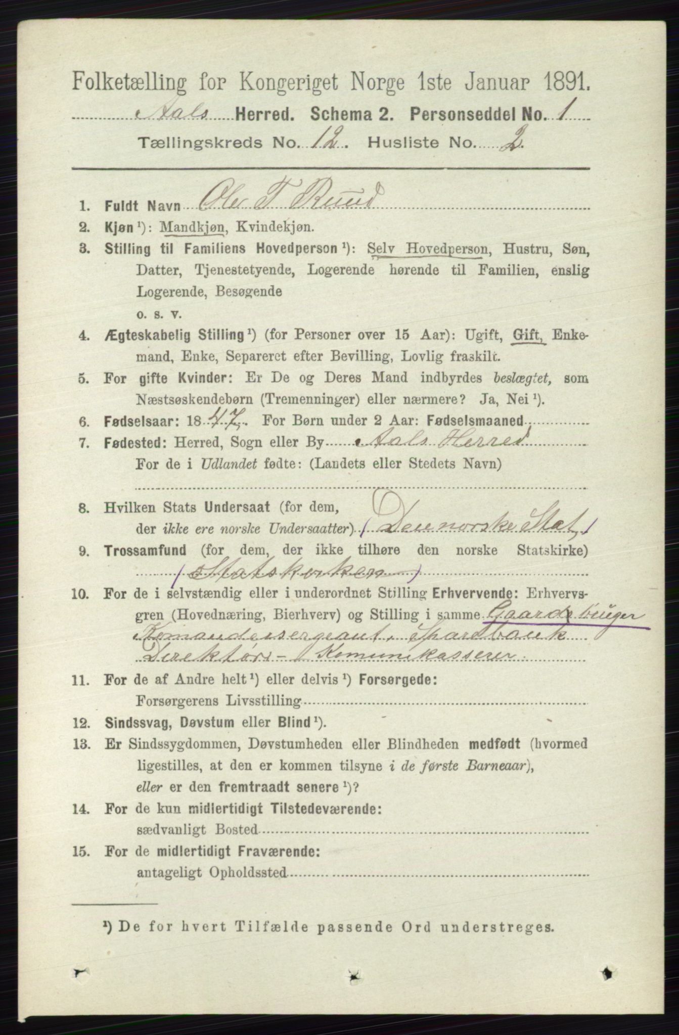 RA, 1891 census for 0619 Ål, 1891, p. 3014