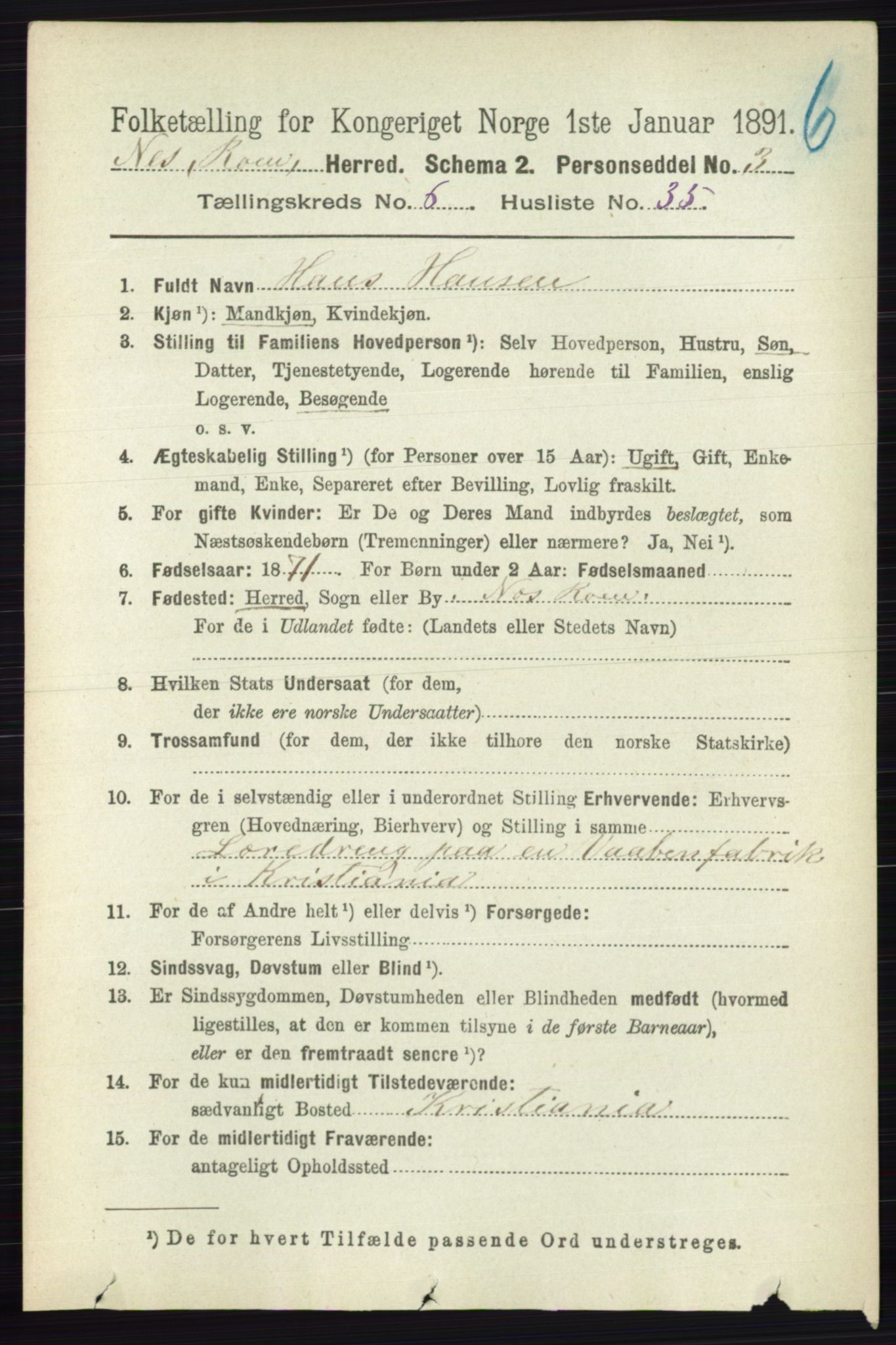RA, 1891 census for 0236 Nes, 1891, p. 3605