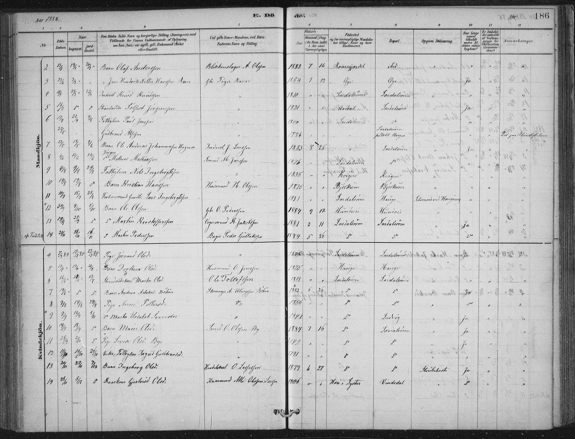 Lærdal sokneprestembete, SAB/A-81201: Parish register (official) no. D  1, 1878-1908, p. 186