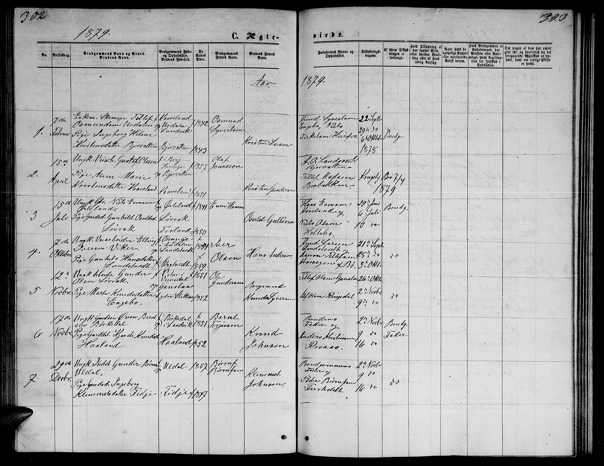 Herefoss sokneprestkontor, AV/SAK-1111-0019/F/Fb/Fba/L0002: Parish register (copy) no. B 2, 1868-1886, p. 302-303