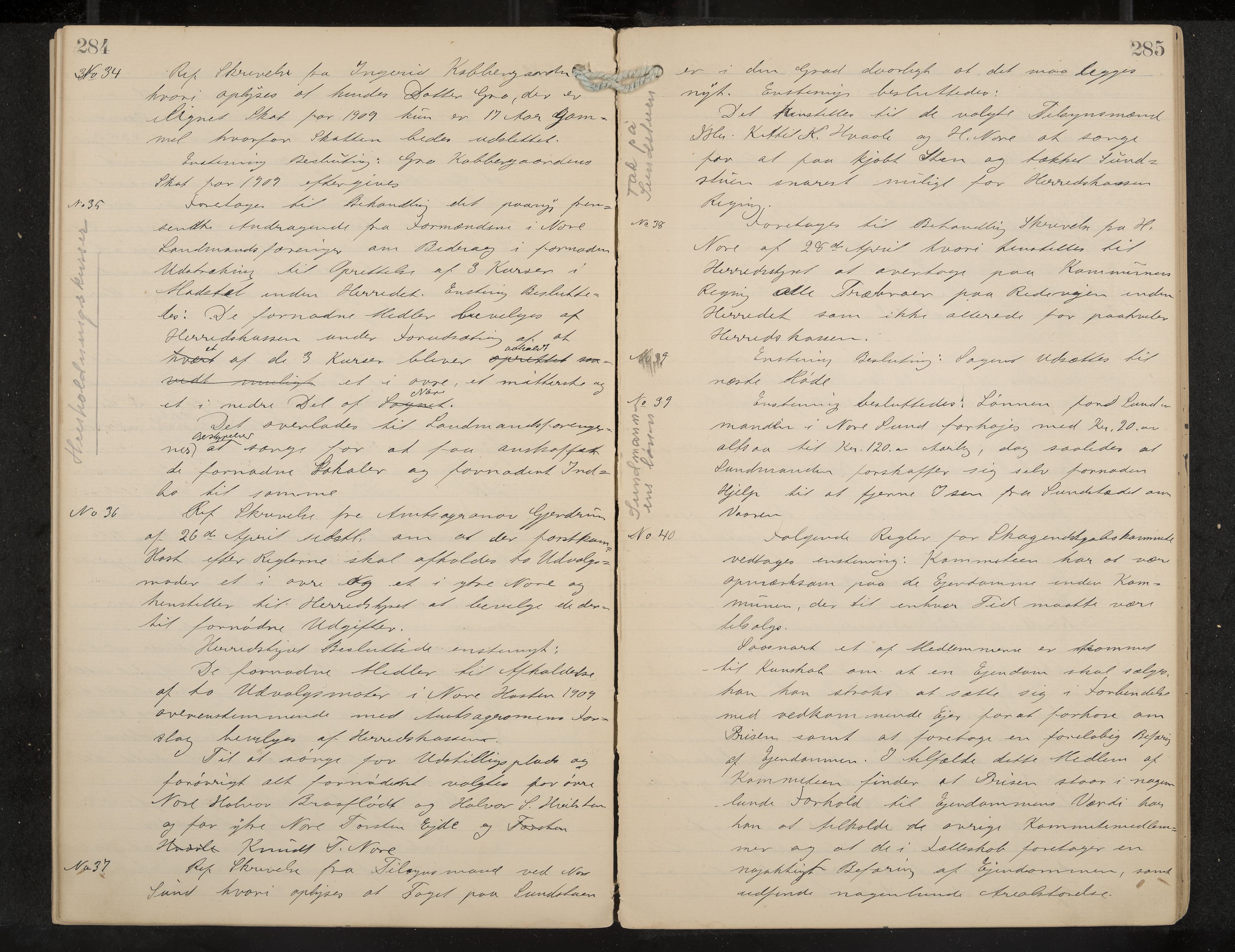 Nore formannskap og sentraladministrasjon, IKAK/0633021-2/A/Aa/L0001: Møtebok, 1901-1911, p. 284-285